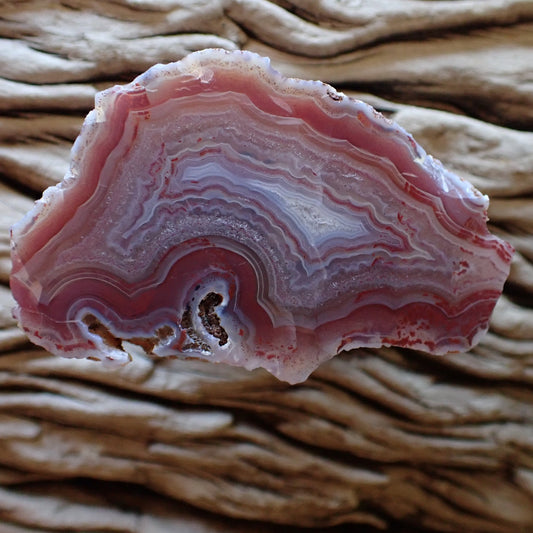 Cut and hand polished Malawi Ngabu agate with rich reddish-pink and deep orange hues (Sard) Very tight fortification and shadow or ghost banding which almost makes it look lacy