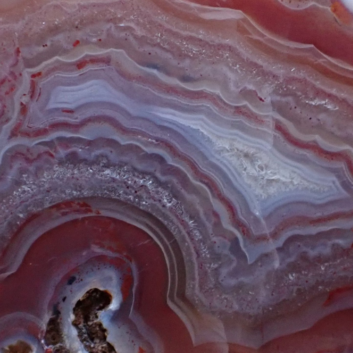 Close-up of the crystalline Core of a Malawi Ngabu agate specimen. This picture shows how the banding gives way to a small pocket of macro-crystalline quartz (likely tiny drusy crystals), which marks the final stage of the cavity being filled.