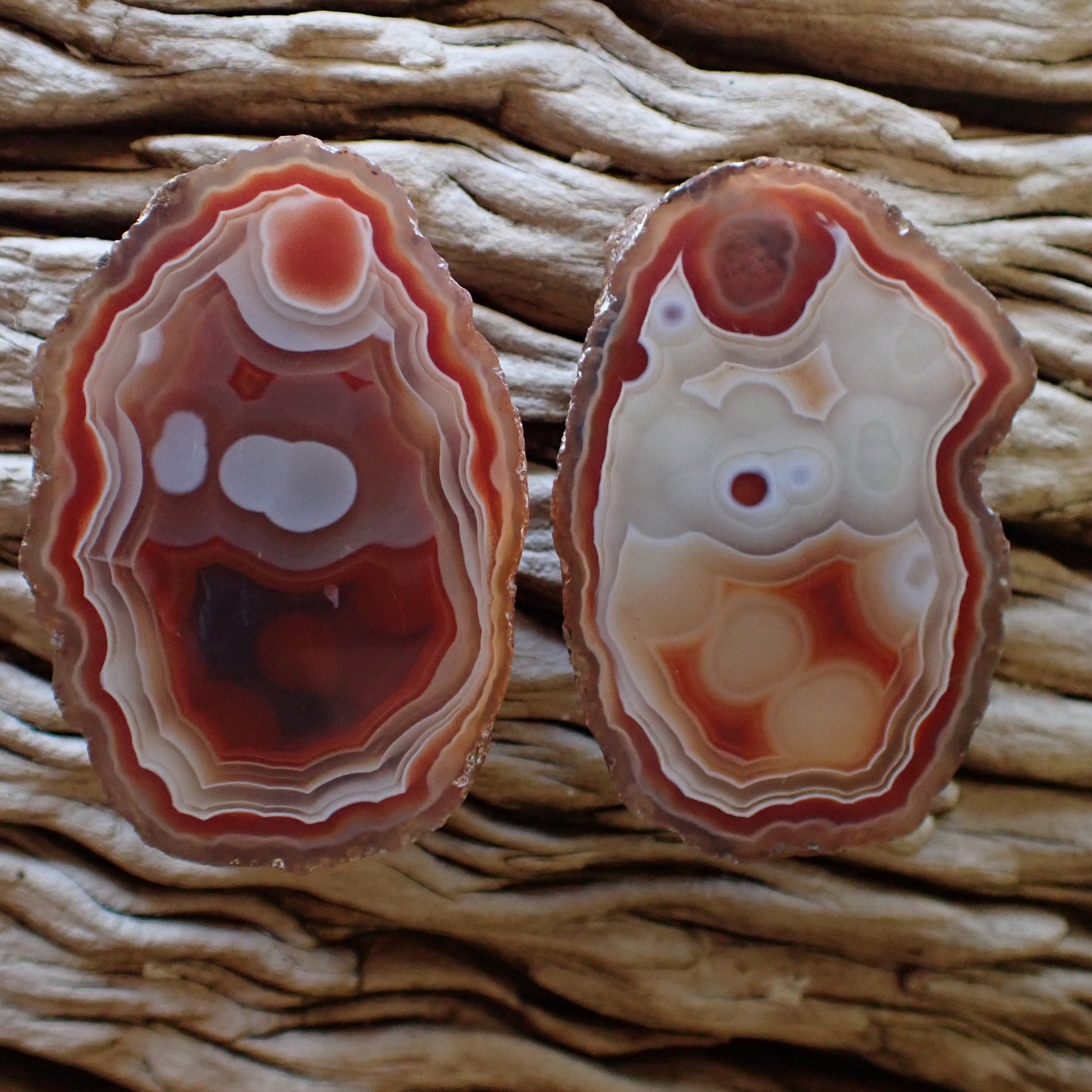 Matched pair of polished Malawi Ngabu agate nodules from Elemental Treasure, showing symmetrical fortification banding and rare color-inverted orbital eyes in vibrant sard-red and white