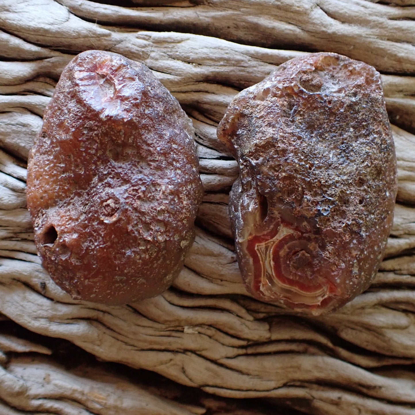 Exterior of a matched Malawi Ngabu agate nodule pair from Elemental Treasure, showing a natural, weathered, and heavily textured brown cortex or 'skin' with a small window revealing internal sard banding near the base of one half