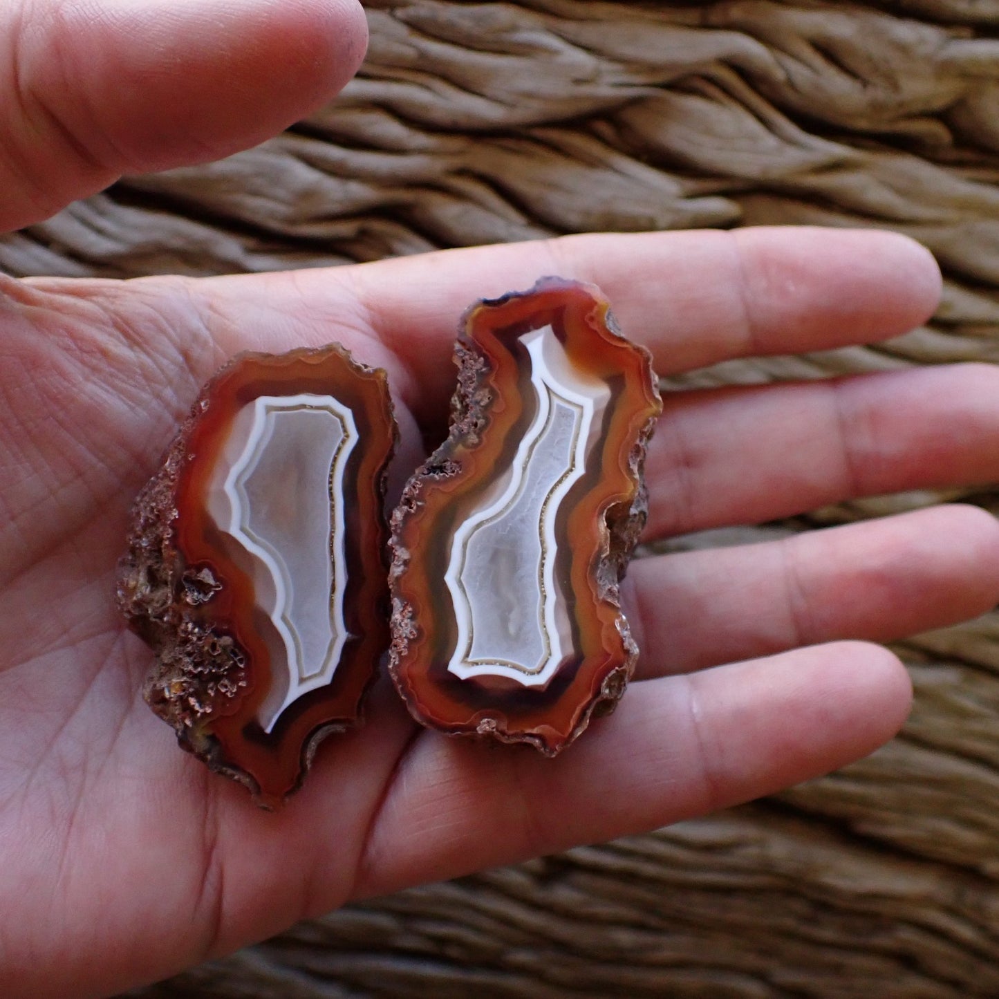 Hand-polished Ngabu Malawi agate pair held in hand to show scale — 50 mm and 47 mm collector specimens — SKU 000471