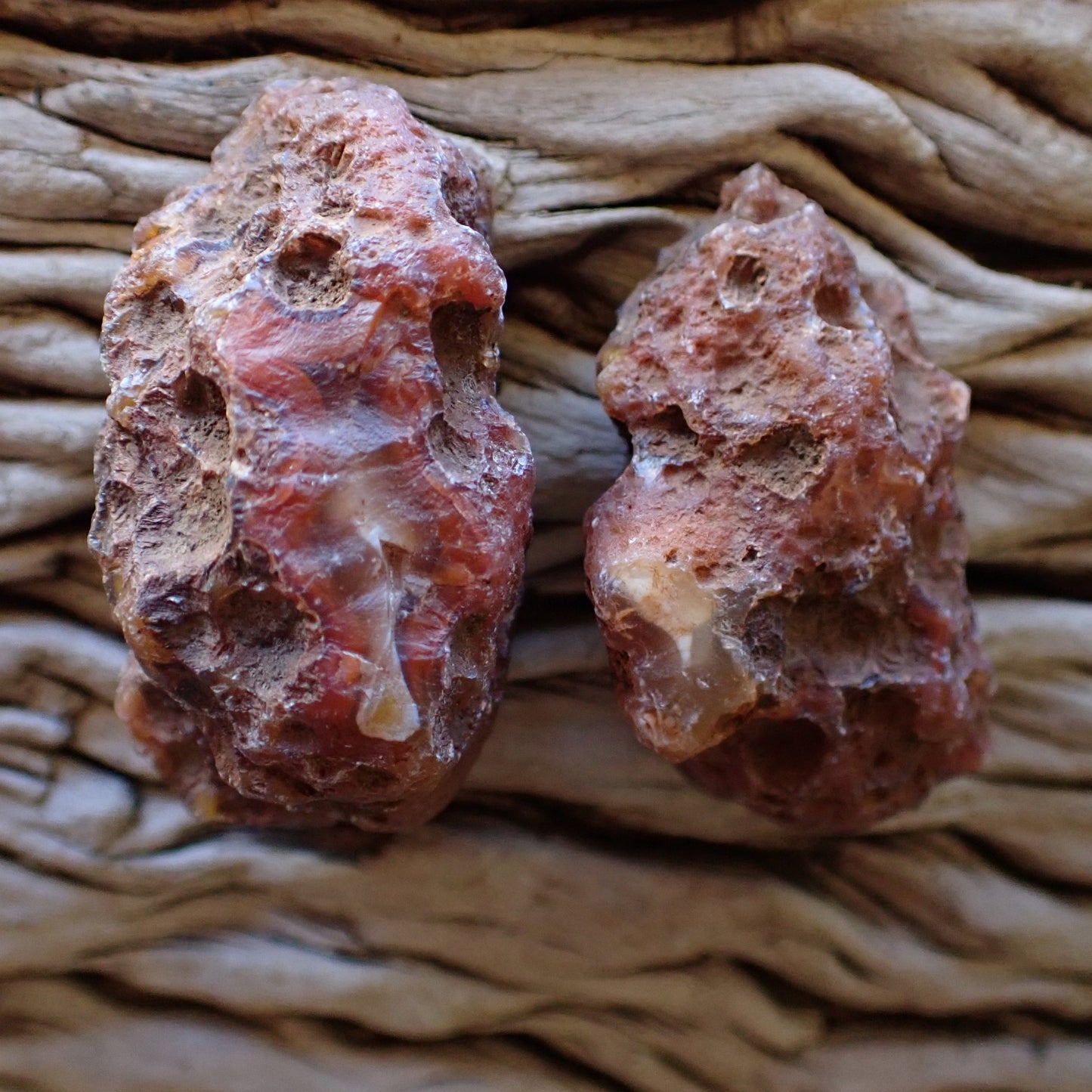 Unpolished reverse side of Malawi agate nodule pair from Ngabu showing natural weathered rind and druzy texture — SKU 000471
