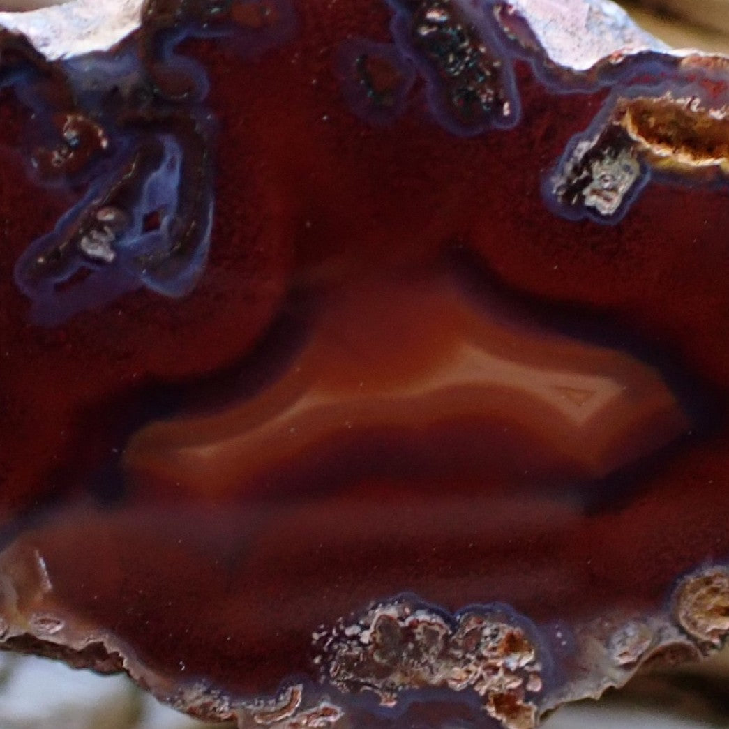 Close-up of Ngabu Malawi agate face revealing cool blue-grey chalcedony border contrasting against rich sard-carnelian centre with undulating fortification bands — SKU 000472