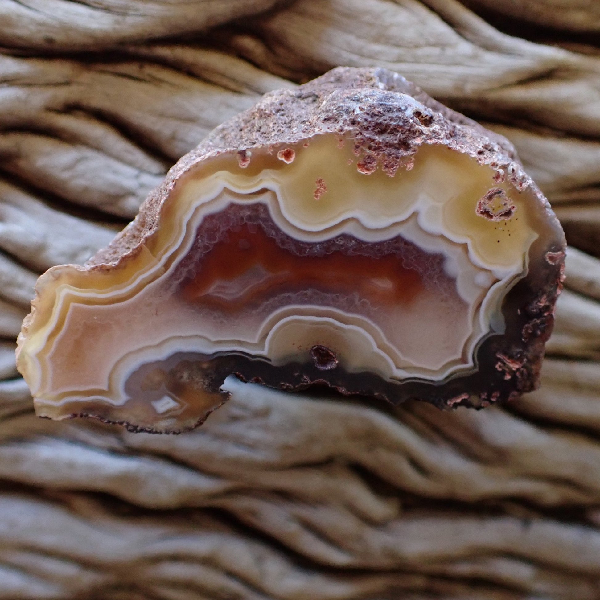 Hand-polished Malawi agate from Ngabu showing tight fortification banding with lacy scalloped edges, shadow banding and a warm sard-carnelian inverse colour centre — SKU 000473