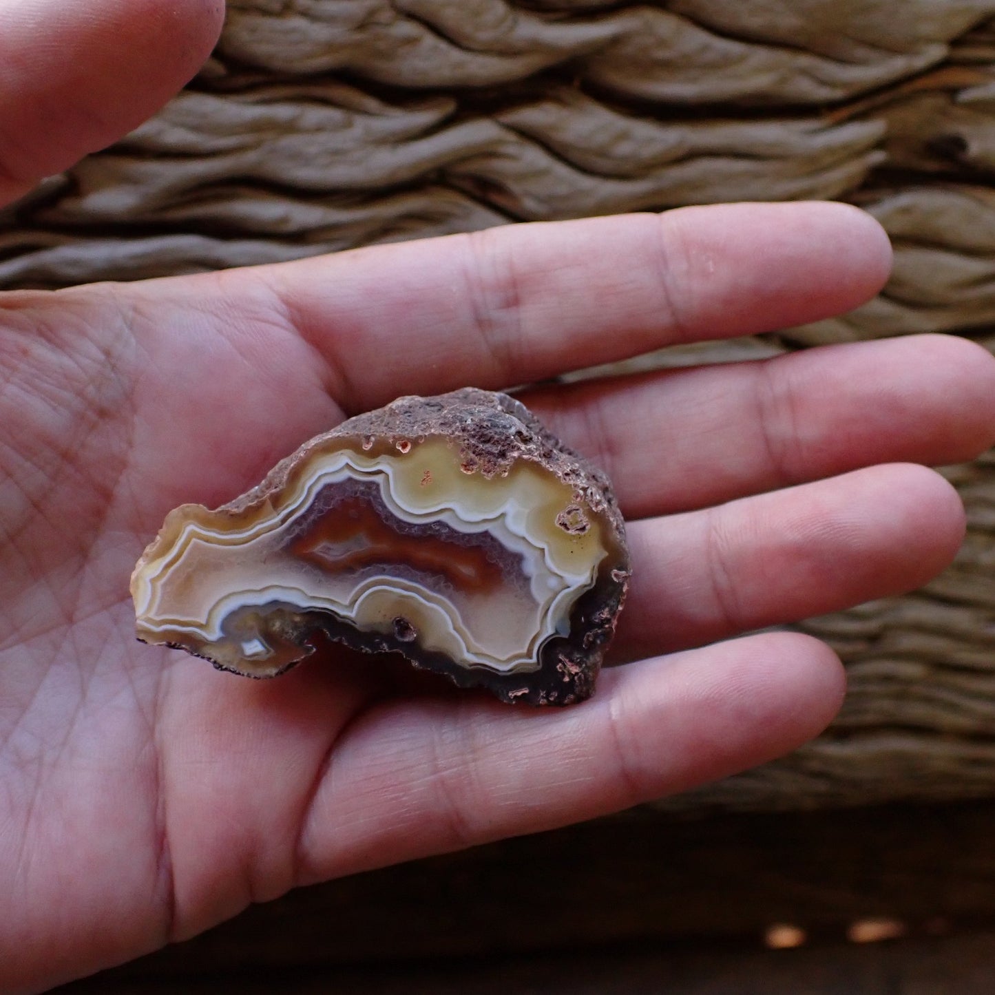 Hand-polished Ngabu Malawi agate held in hand to show scale — 53 mm collector specimen — SKU 000473