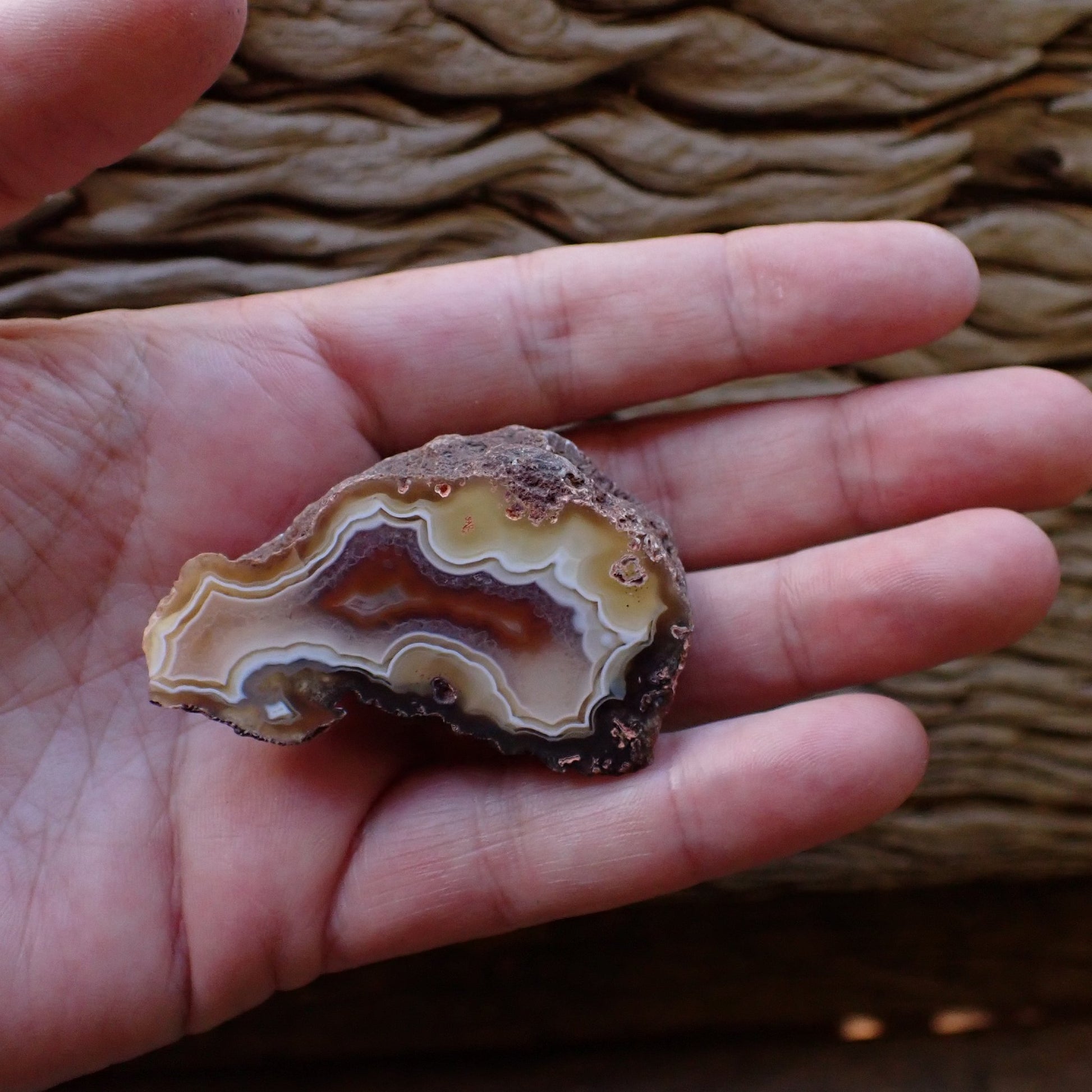 Hand-polished Ngabu Malawi agate held in hand to show scale — 53 mm collector specimen — SKU 000473