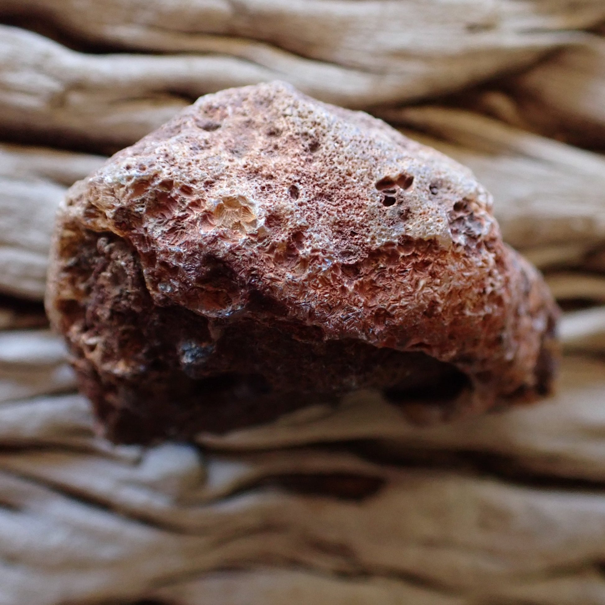 Unpolished reverse side of Malawi agate nodule from Ngabu showing natural druzy rind — SKU 000473