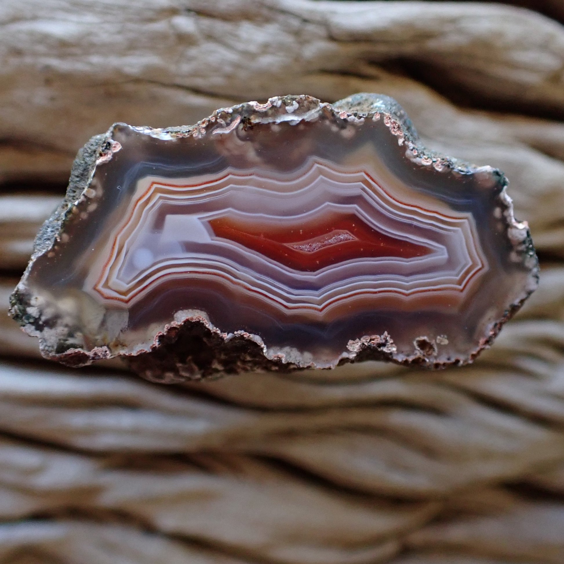 Hand-polished Malawi agate from Ngabu showing exceptional fortification band density with a striking parallax centre, shadow banding and blue-grey chalcedony border — SKU 000474