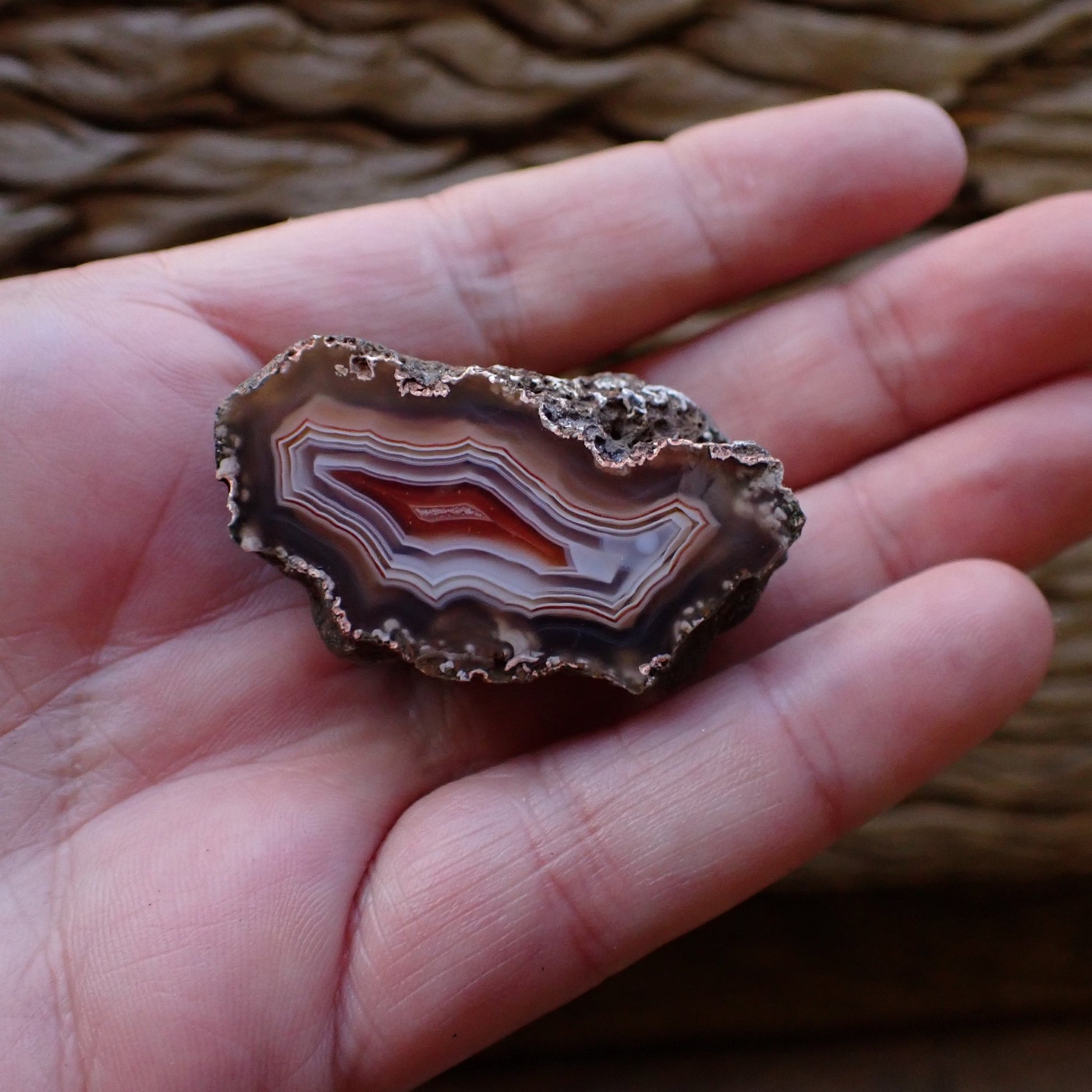 Hand-polished Ngabu Malawi agate held in hand to show scale — 43 mm collector specimen with parallax centre — SKU 000474