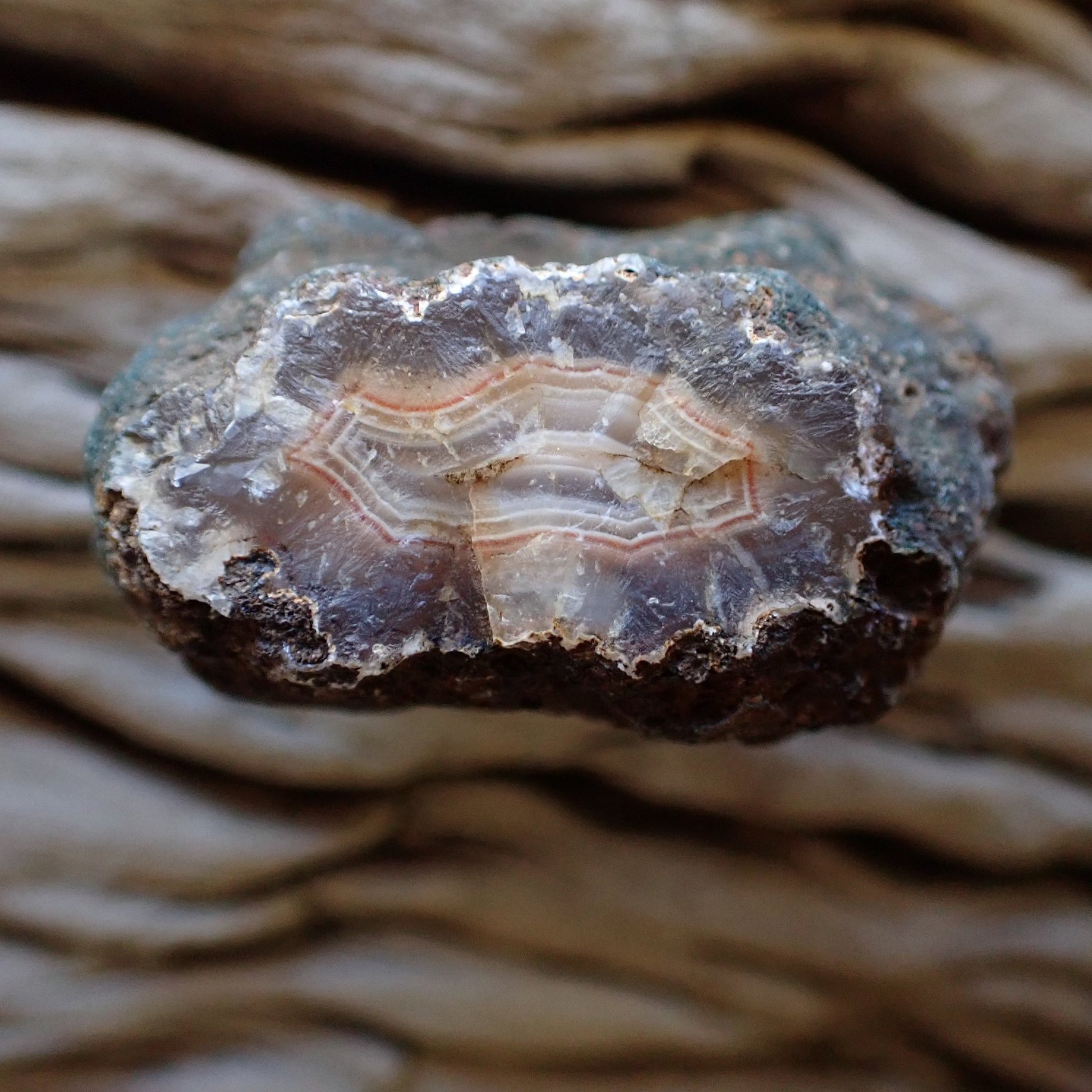 Unpolished reverse side of Malawi agate nodule from Ngabu showing natural druzy rind with distinctive silvery-green mineral crust — SKU 000474