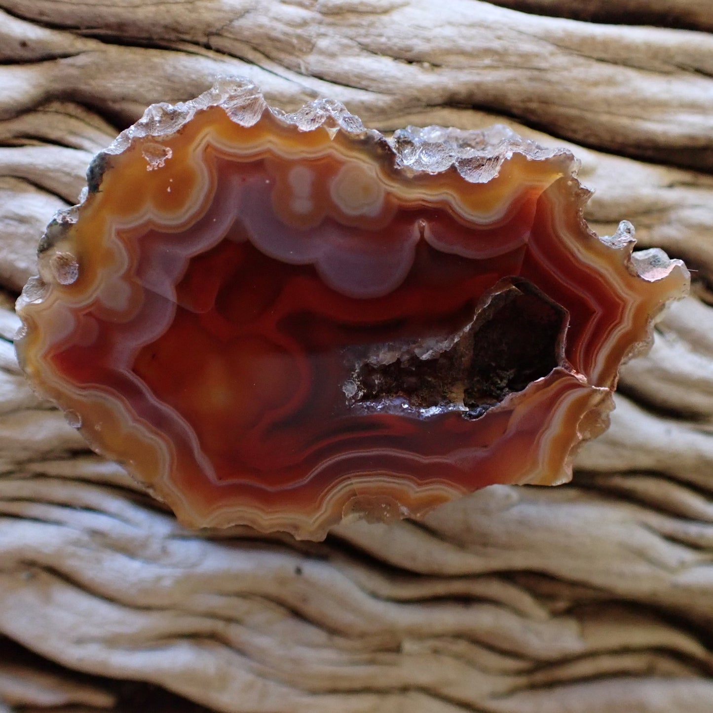 Natural hand-polished Malawi agate 54 mm – full specimen, sard-red core with chromatism and fortification banding, Ngabu deposit