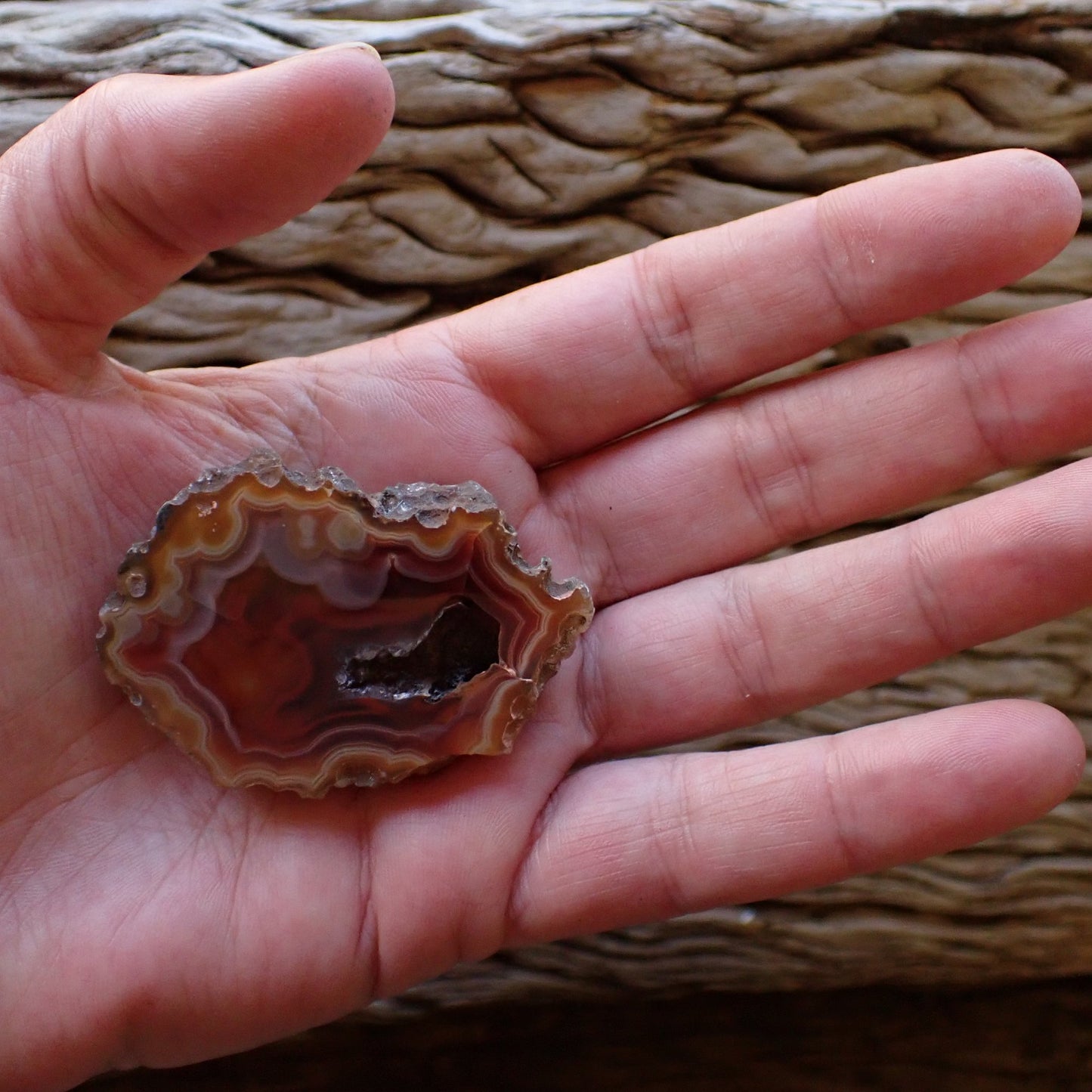 Malawi agate 54 mm in hand – size reference, 25 g collector specimen, Ngabu, Malawi
