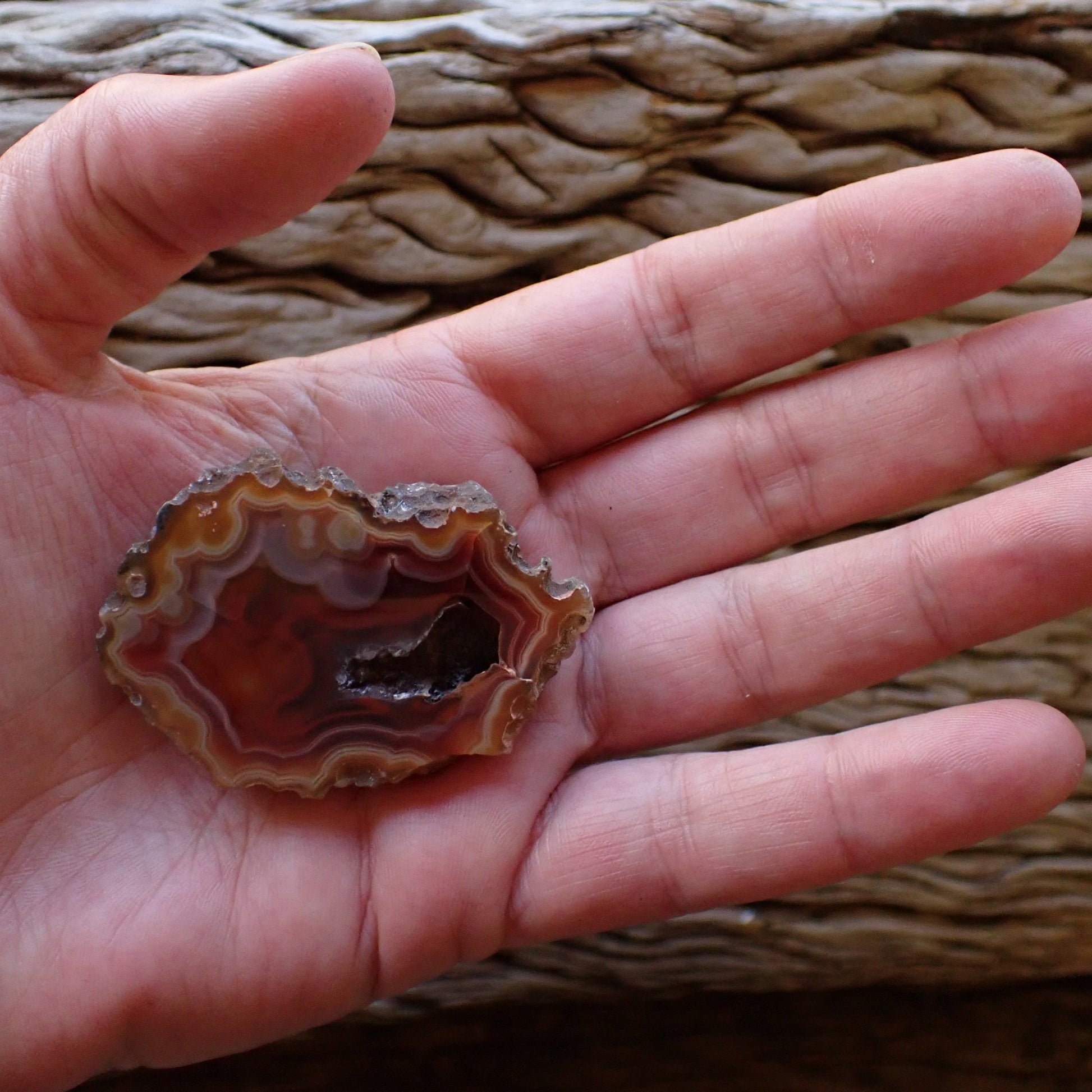 Malawi agate 54 mm in hand – size reference, 25 g collector specimen, Ngabu, Malawi