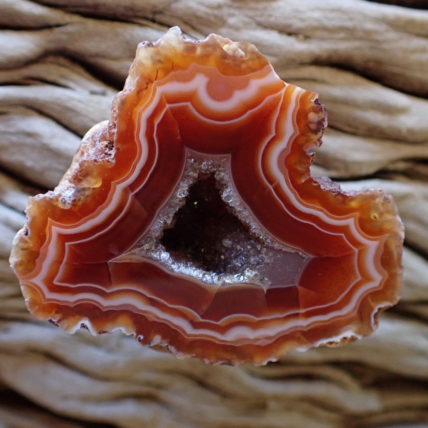 Natural hand-polished Malawi agate 44 mm – full specimen, sard-carnelian fortification banding with scalloped edges and triangular druzy vug, Ngabu deposit | SKU 000477