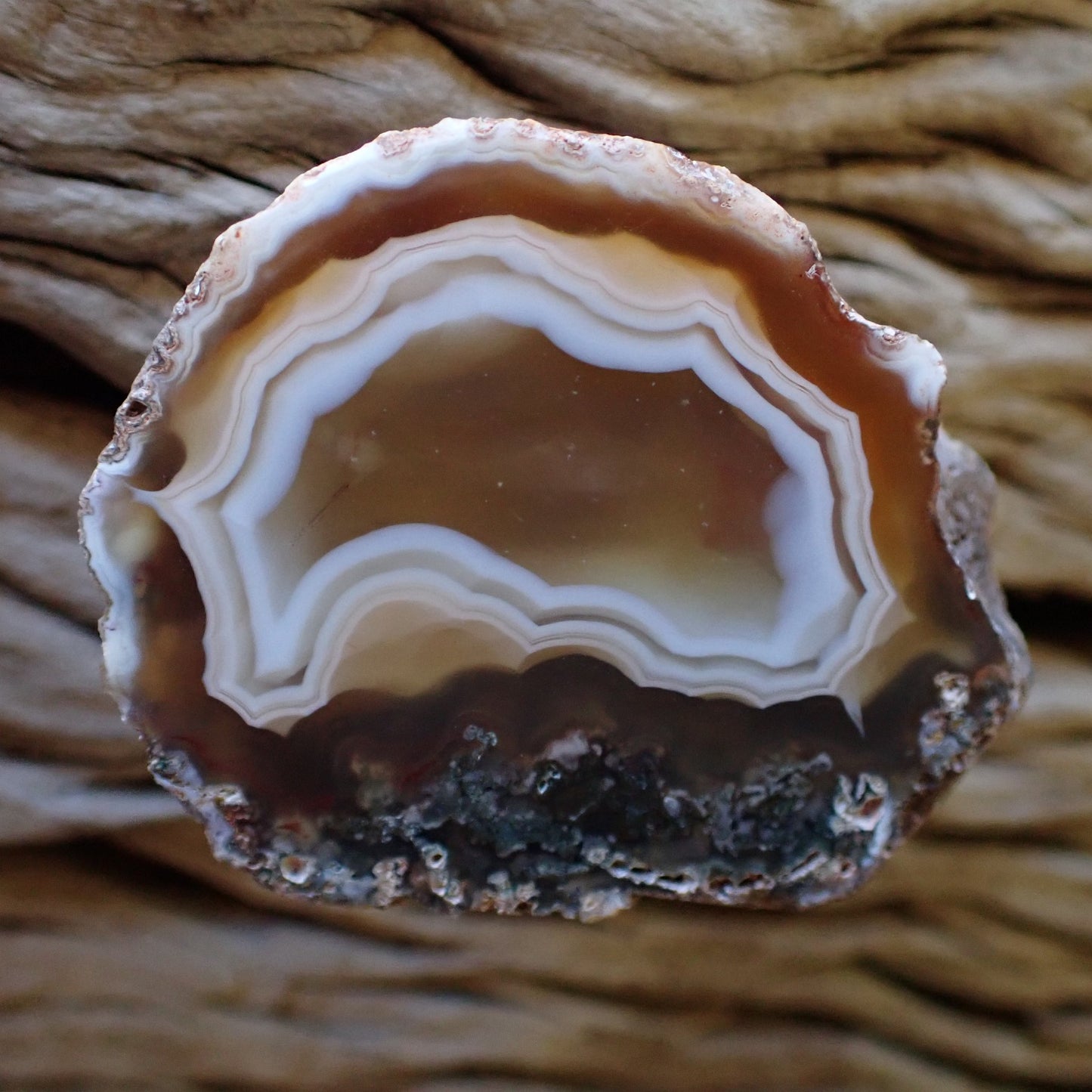Natural hand-polished Malawi agate 46 mm – full specimen, amber-brown scalloped fortification banding, Ngabu deposit | SKU 000479