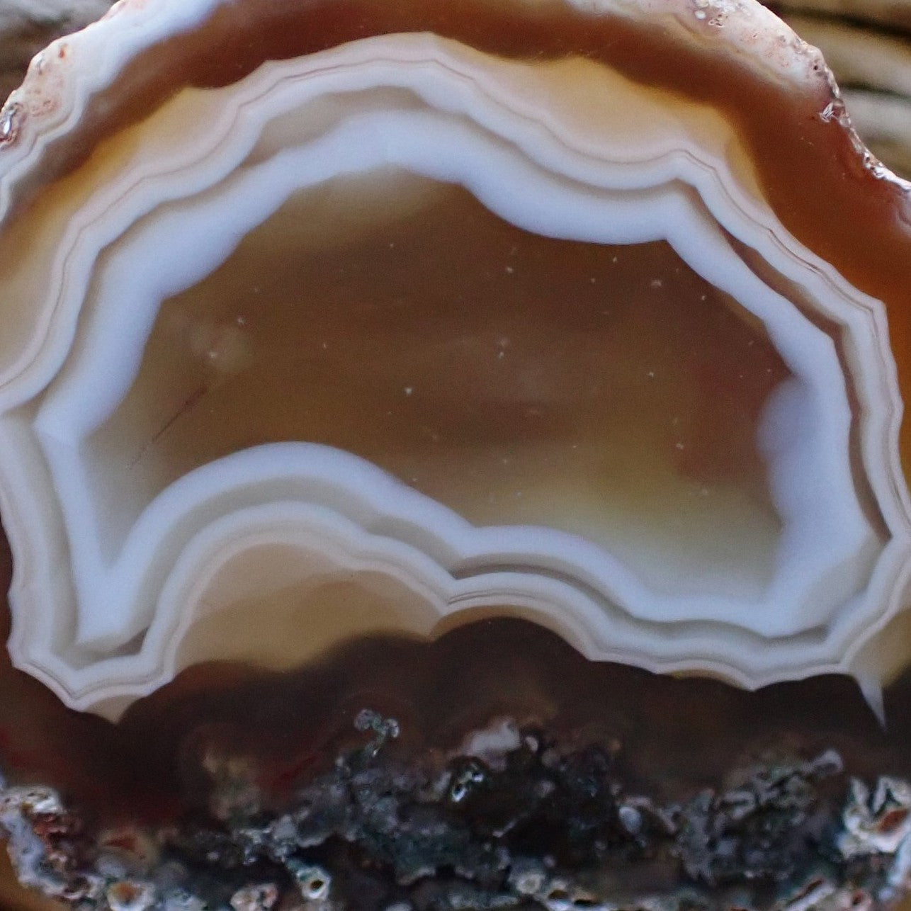 Close-up of Malawi agate 46 mm – scalloped fortification banding and ghost banding detail, amber-brown colour zoning | SKU 000479
