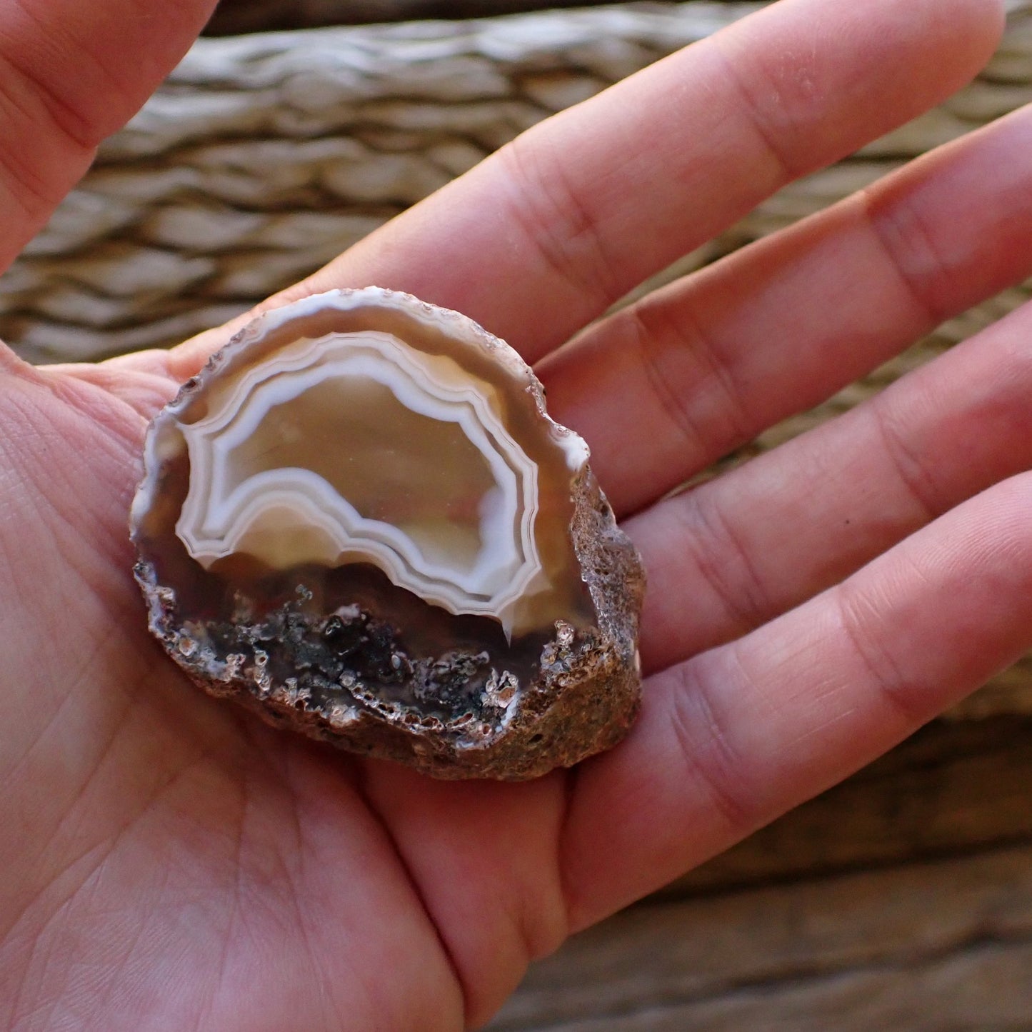 Malawi agate 46 mm in hand – size reference, 65 g collector specimen, Ngabu, Malawi | SKU 000479