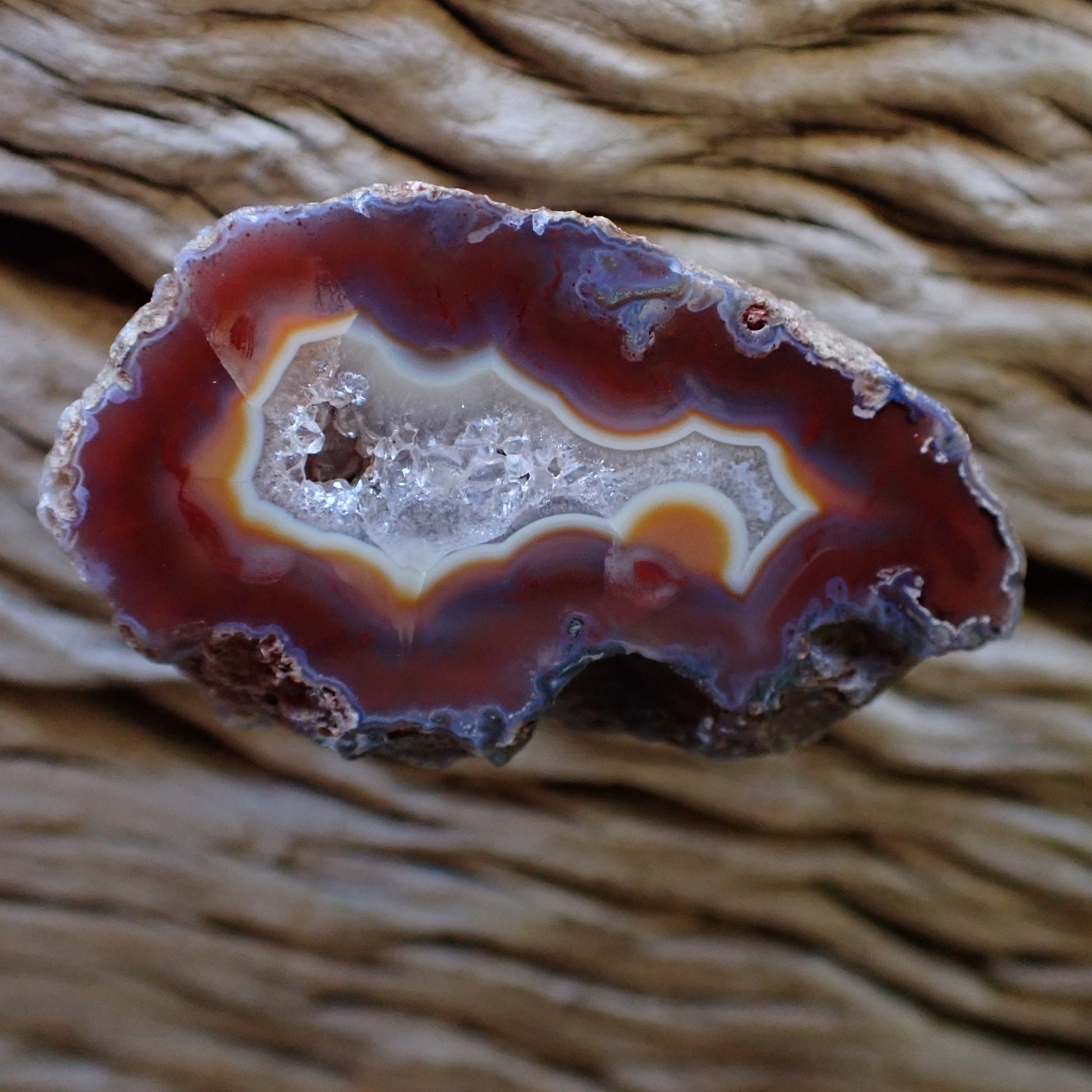Natural hand-polished Malawi agate 51 mm – full specimen, sard-red to burgundy-purple fortification banding with blue-grey band and macro-crystalline vug, Ngabu deposit | SKU 000480