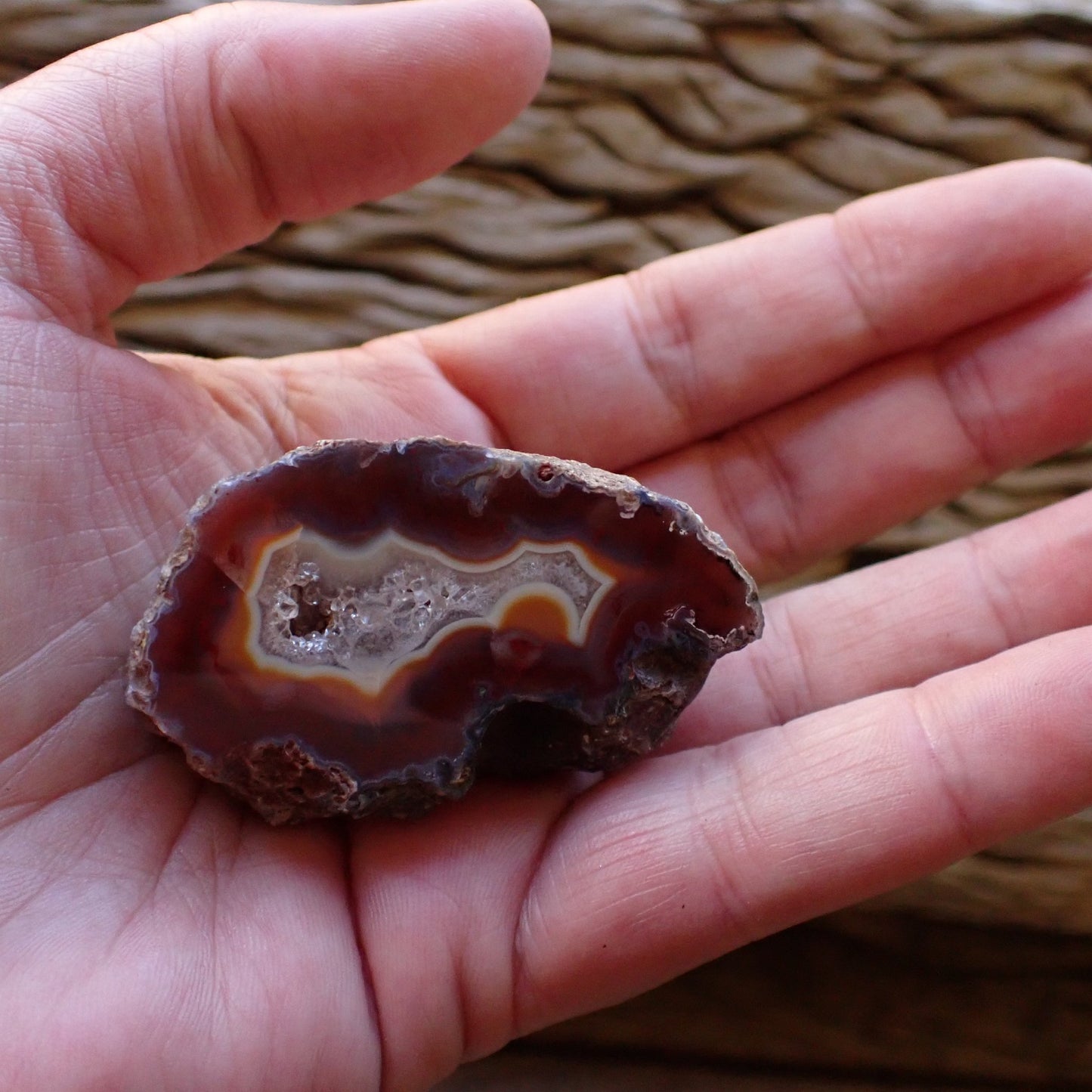 Malawi agate 51 mm in hand – size reference, 60 g collector specimen, Ngabu, Malawi | SKU 000480