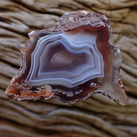 Natural hand-polished Malawi agate 44 mm – full specimen, star-shaped inner band profile with warm taupe to greige fortification banding and muted russet outer border, Ngabu deposit | SKU 000481