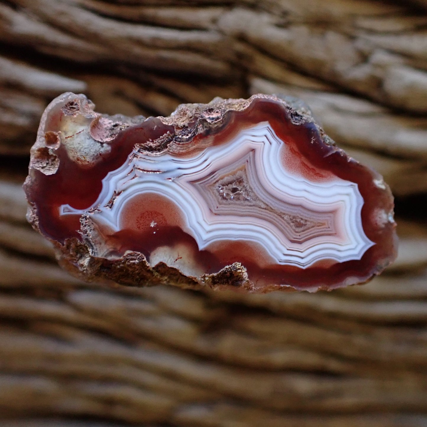 Natural hand-polished Malawi agate 37 mm – full face, fortification banding, vug, sard-carnelian and white chalcedony, Ngabu sourced | SKU 000482