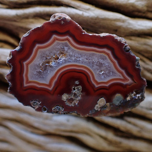 Front-facing natural hand-polished Malawi agate 40 mm – full specimen showing deep sard-red fortification banding and scalloped band edges, Ngabu, Malawi | SKU 000483