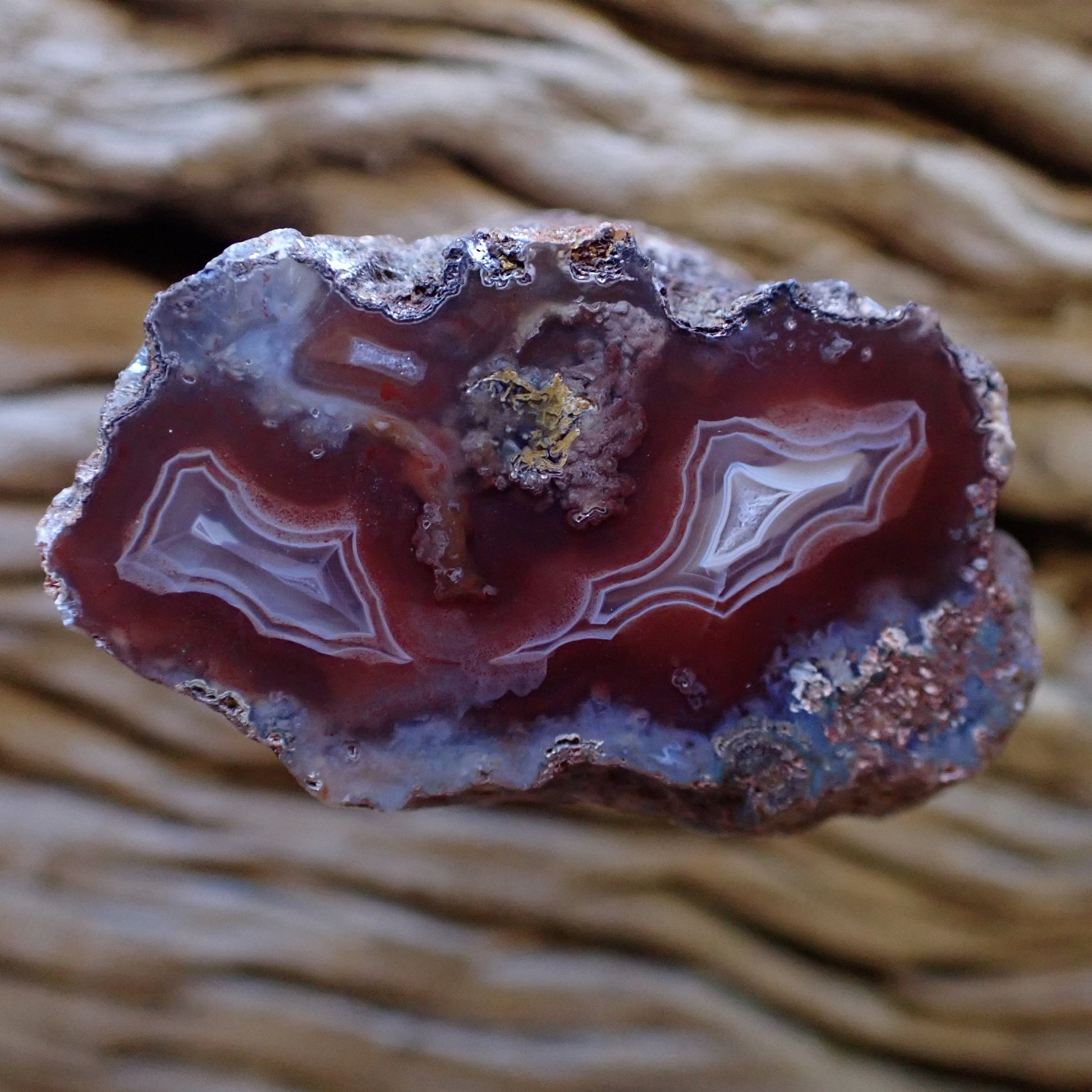 Front-facing natural hand-polished Malawi agate 40 mm – full specimen showing dual banding lobes, fortification banding and ghost banding, Ngabu, Malawi | SKU 000484