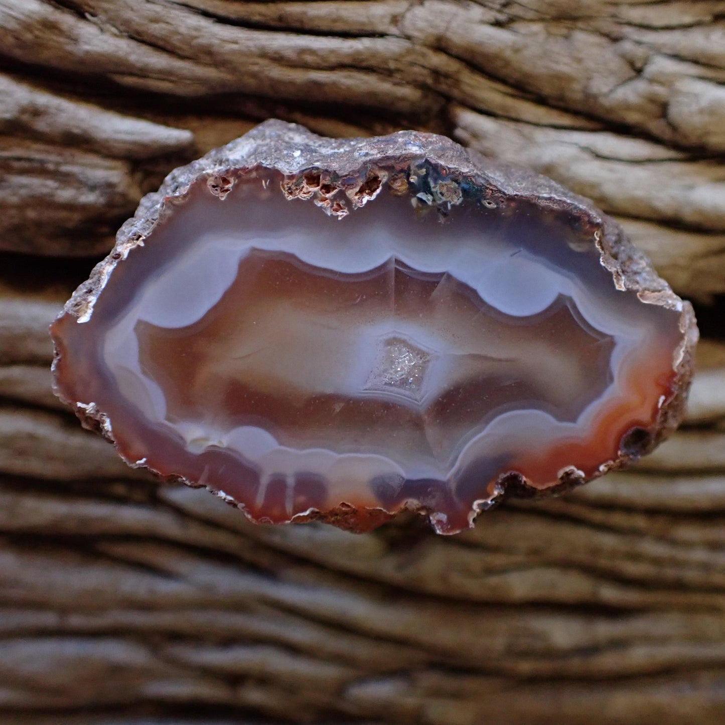 Natural hand-polished Malawi agate 50 mm – full specimen, front view, scalloped banding, crystalline centre, Ngabu Malawi | SKU 000485

