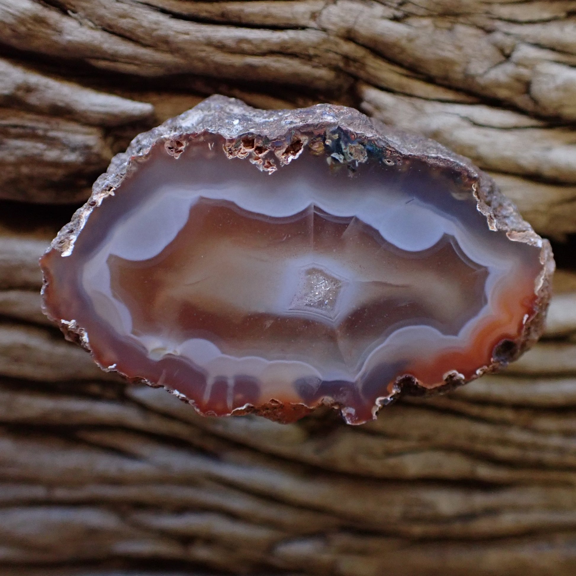 Natural hand-polished Malawi agate 50 mm – full specimen, front view, scalloped banding, crystalline centre, Ngabu Malawi | SKU 000485
