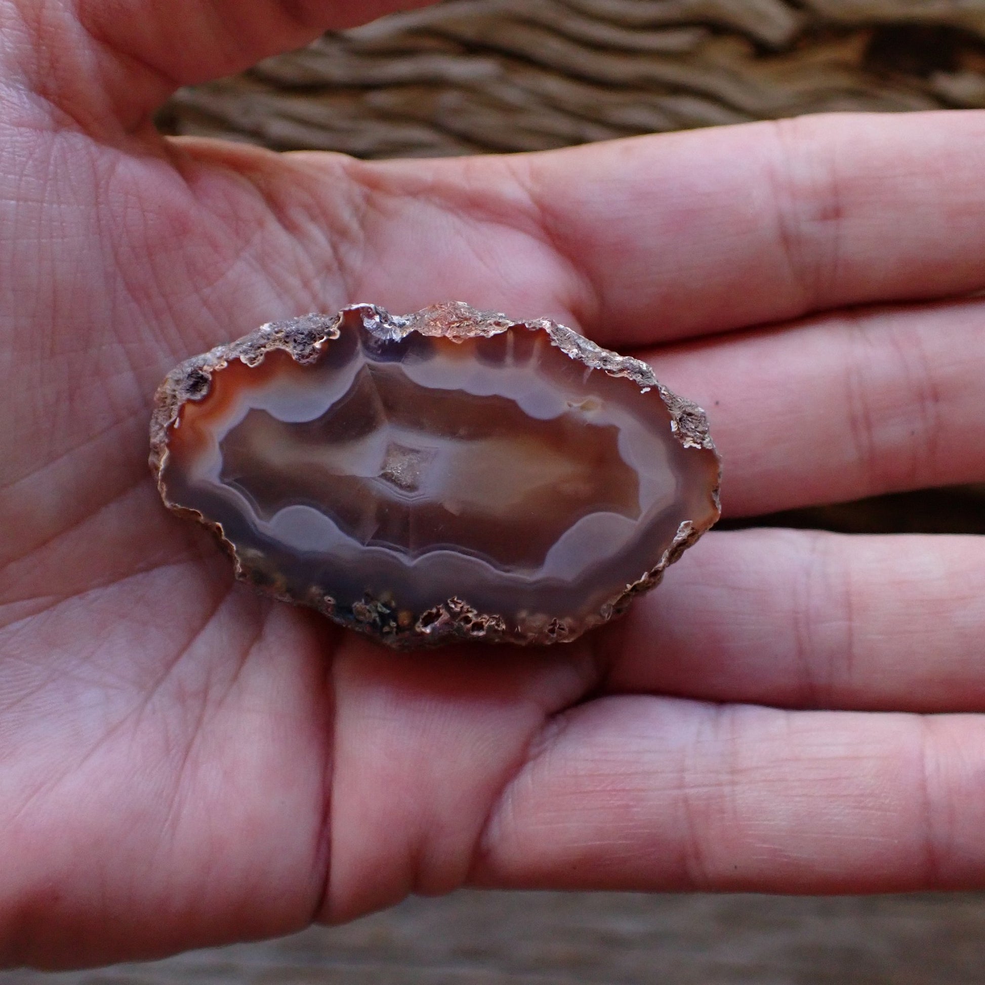 Natural hand-polished Malawi agate 50 mm – in-hand size reference, scalloped banding, Ngabu Malawi | SKU 000485