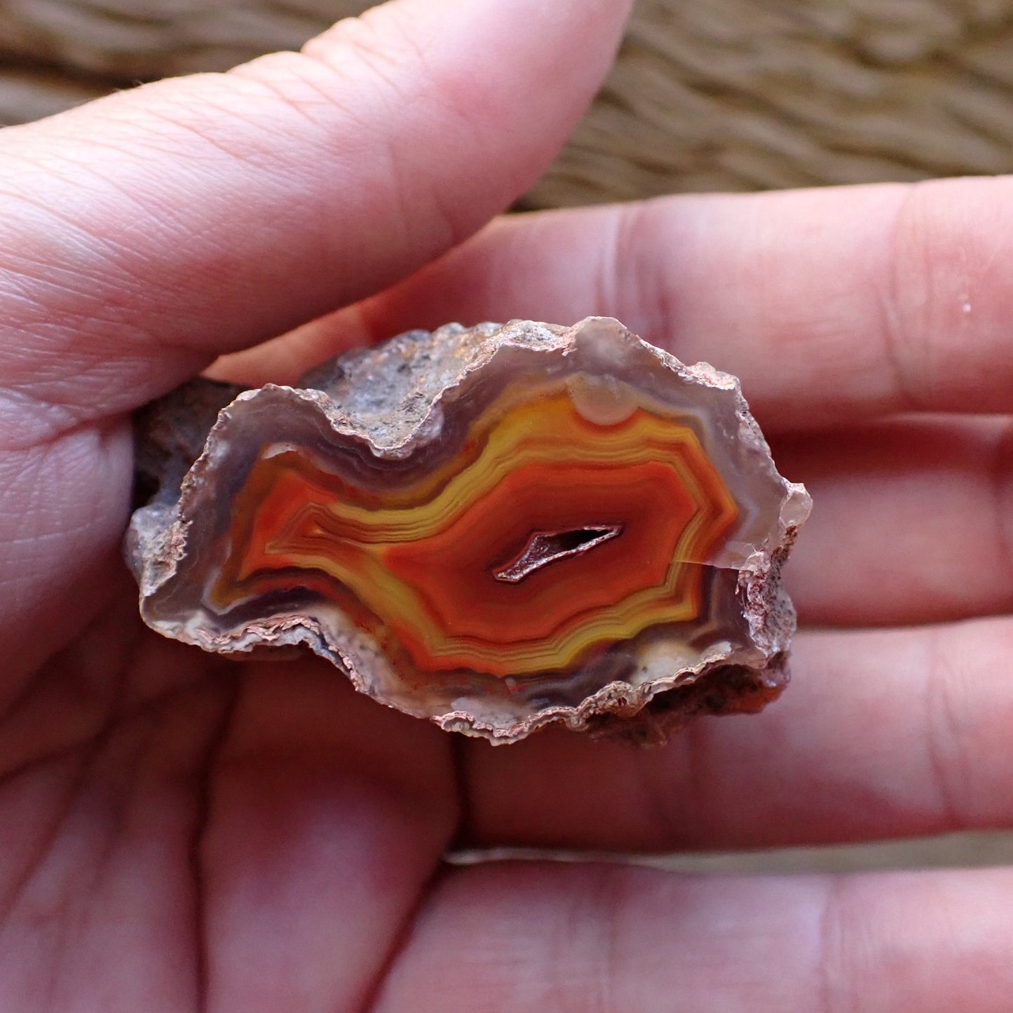 Natural hand-polished Malawi agate 41 mm – in-hand size reference, fortification banding, chromatism, Ngabu Malawi | SKU 000486