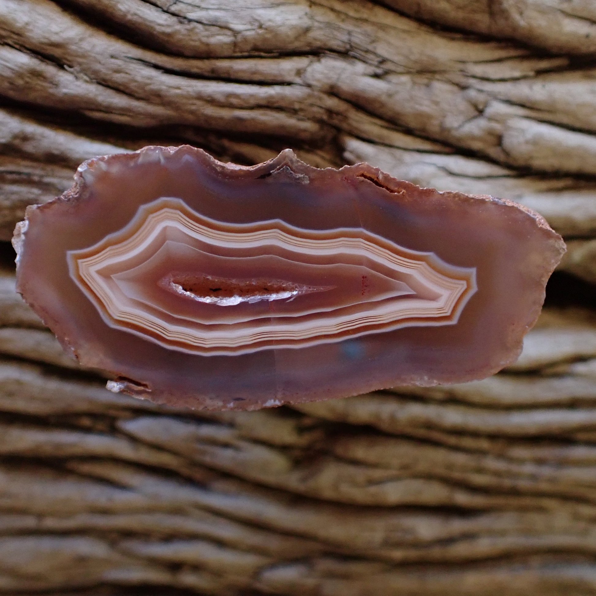 Main view of natural hand-polished Malawi agate 53 mm – front-facing full specimen, fortification banding, scalloped banding, vug, Ngabu Malawi | SKU 000487