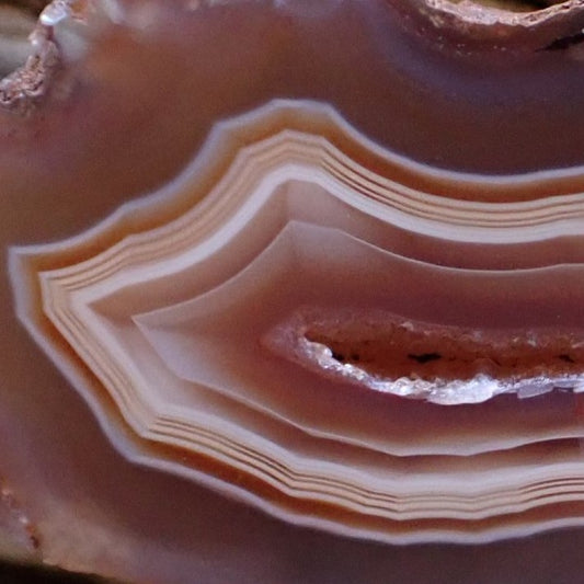 Close-up of natural hand-polished Malawi agate 53 mm – face detail showing scalloped fortification banding and central vug, Ngabu Malawi | SKU 000487