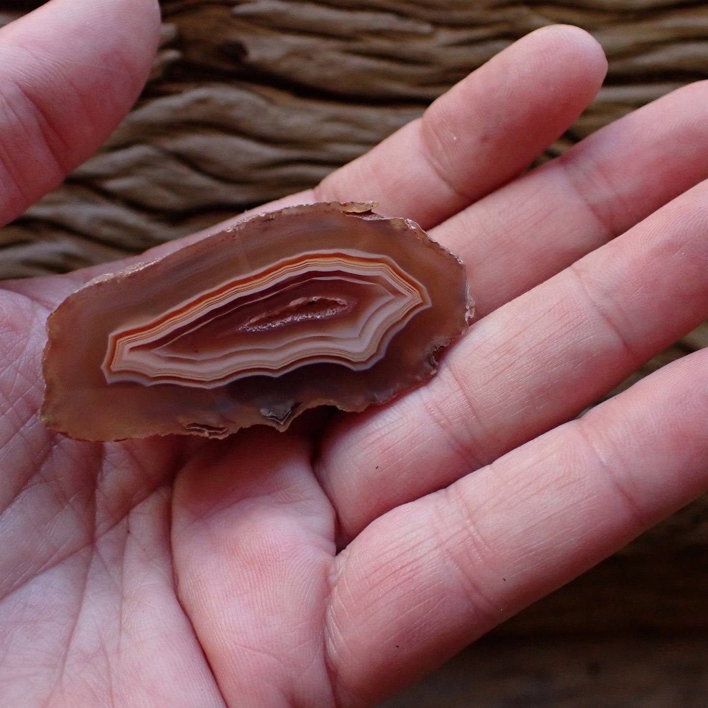 In-hand view of natural hand-polished Malawi agate 53 mm – full specimen in palm, fortification banding, scalloped banding, vug, Ngabu Malawi | SKU 000487