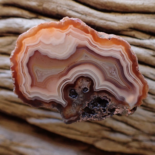 Main view of natural hand-polished Malawi agate 41 mm – front-facing full specimen, scalloped banding, ghost banding, Ngabu Malawi | SKU 000489