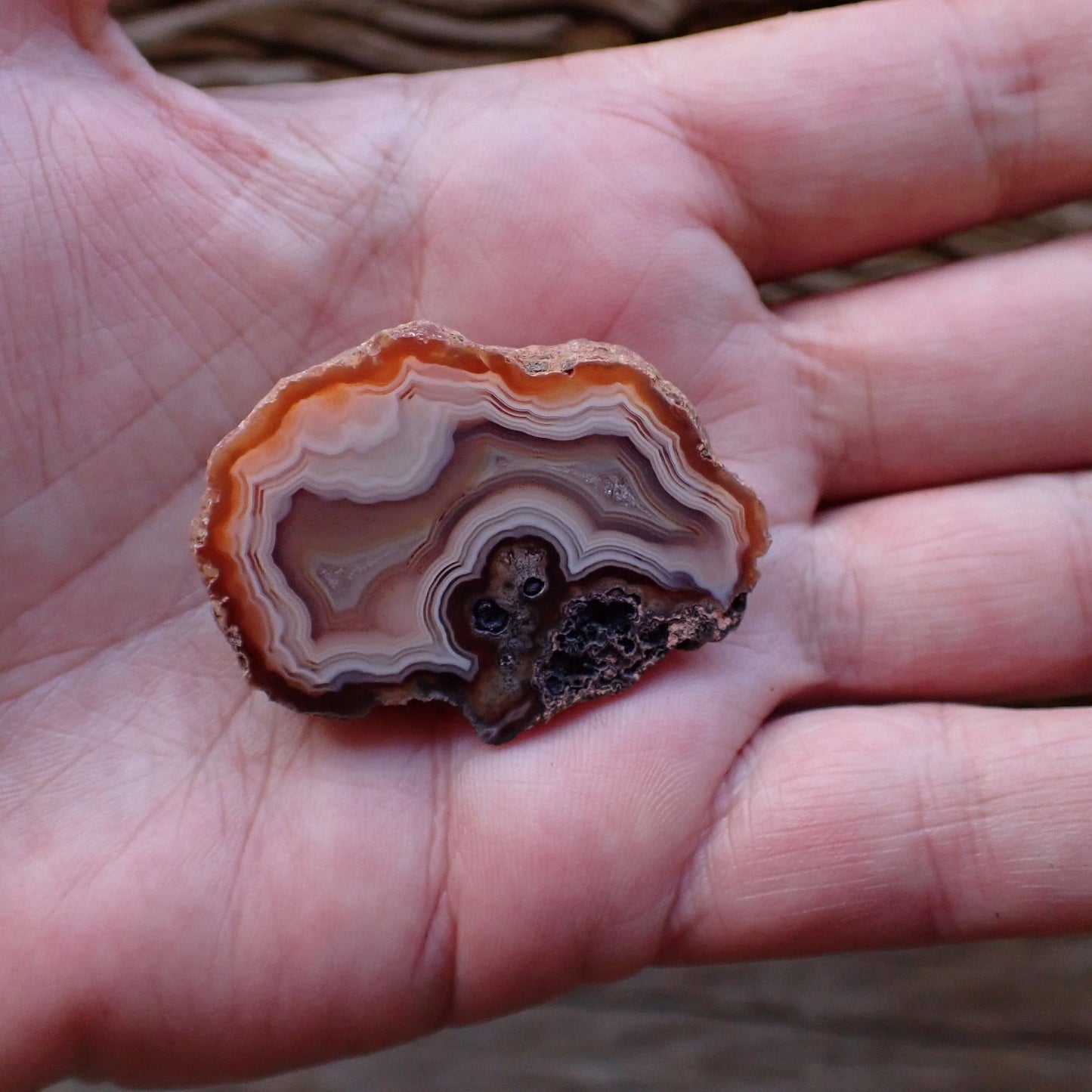  In-hand view of natural hand-polished Malawi agate 41 mm – size reference, scalloped banding, ghost banding, Ngabu Malawi | SKU 000489