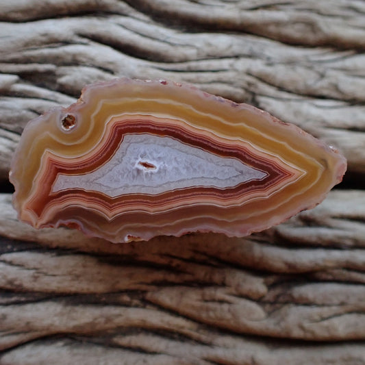 Arrowhead Malawi agate 56 mm – front face, scalloped banding, carnelian-red and amber bands with blue-grey chalcedony centre, open vug, hand-polished in South Africa | SKU 000490