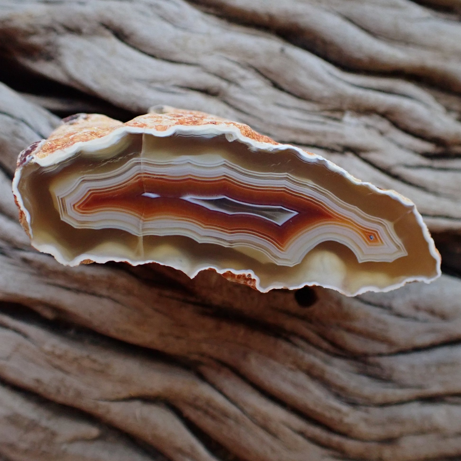 Elongated Malawi agate 53 mm – front face, pronounced scalloped banding, carnelian-red mid-zone, ghost banding, hand-polished in South Africa | SKU 000491