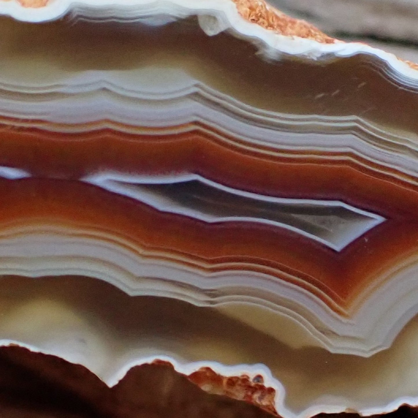 Elongated Malawi agate 53 mm – face detail, scalloped banding, ghost banding, deep carnelian-red mid-zone, Ngabu Malawi | SKU 000491
