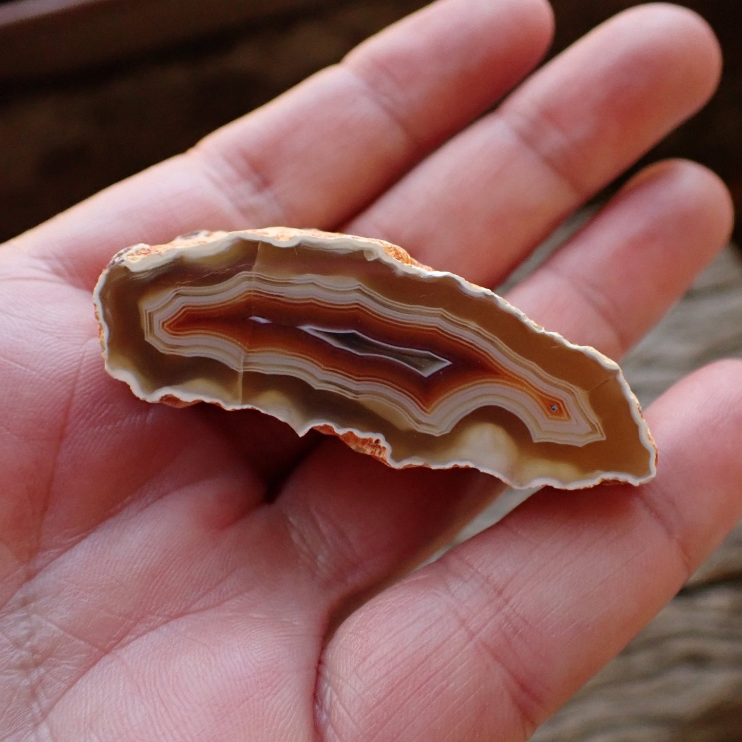 Elongated Malawi agate 53 mm – size reference, scalloped banding, Ngabu Malawi, hand-polished in South Africa | SKU 000491