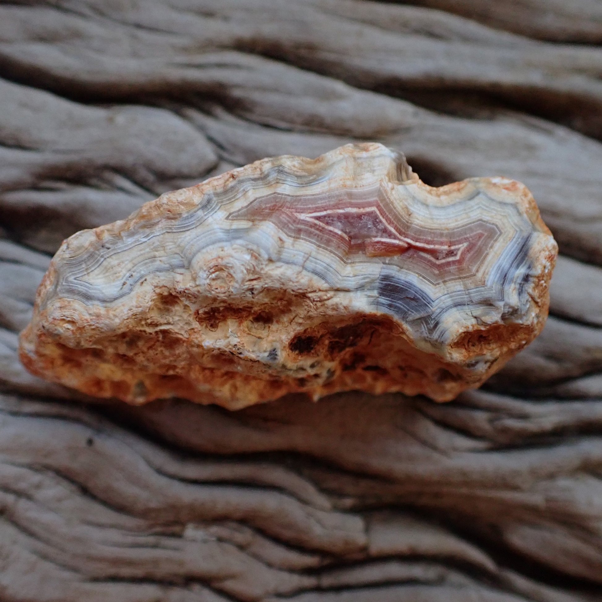 Elongated Malawi agate 53 mm – unpolished rind, natural surface, Ngabu Malawi | SKU 000491