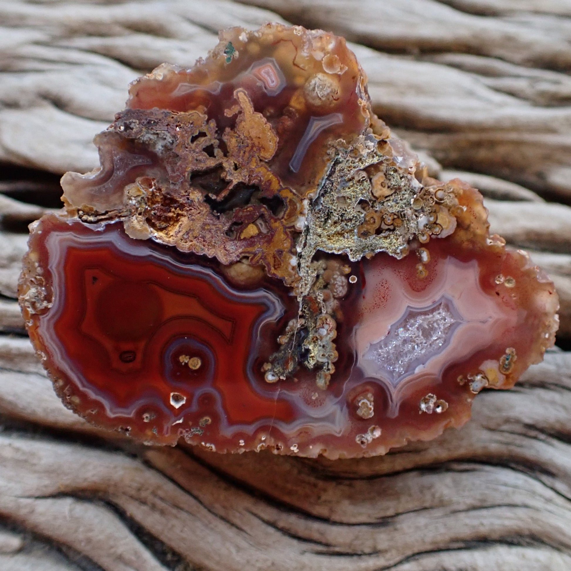 Multi-chamber Malawi agate 58 mm – front face, two dominant banding chambers, eye, hematoid inclusions, scalloped banding, hand-polished in South Africa | SKU 000493