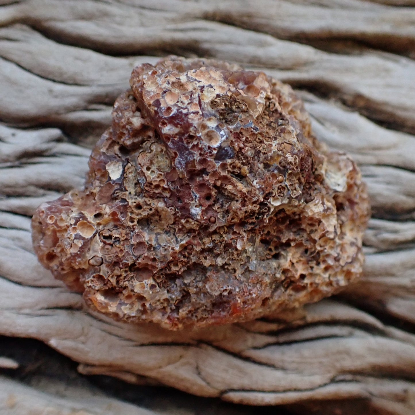 Multi-chamber Malawi agate 58 mm – unpolished rind, natural textured surface, Ngabu Malawi | SKU 000493