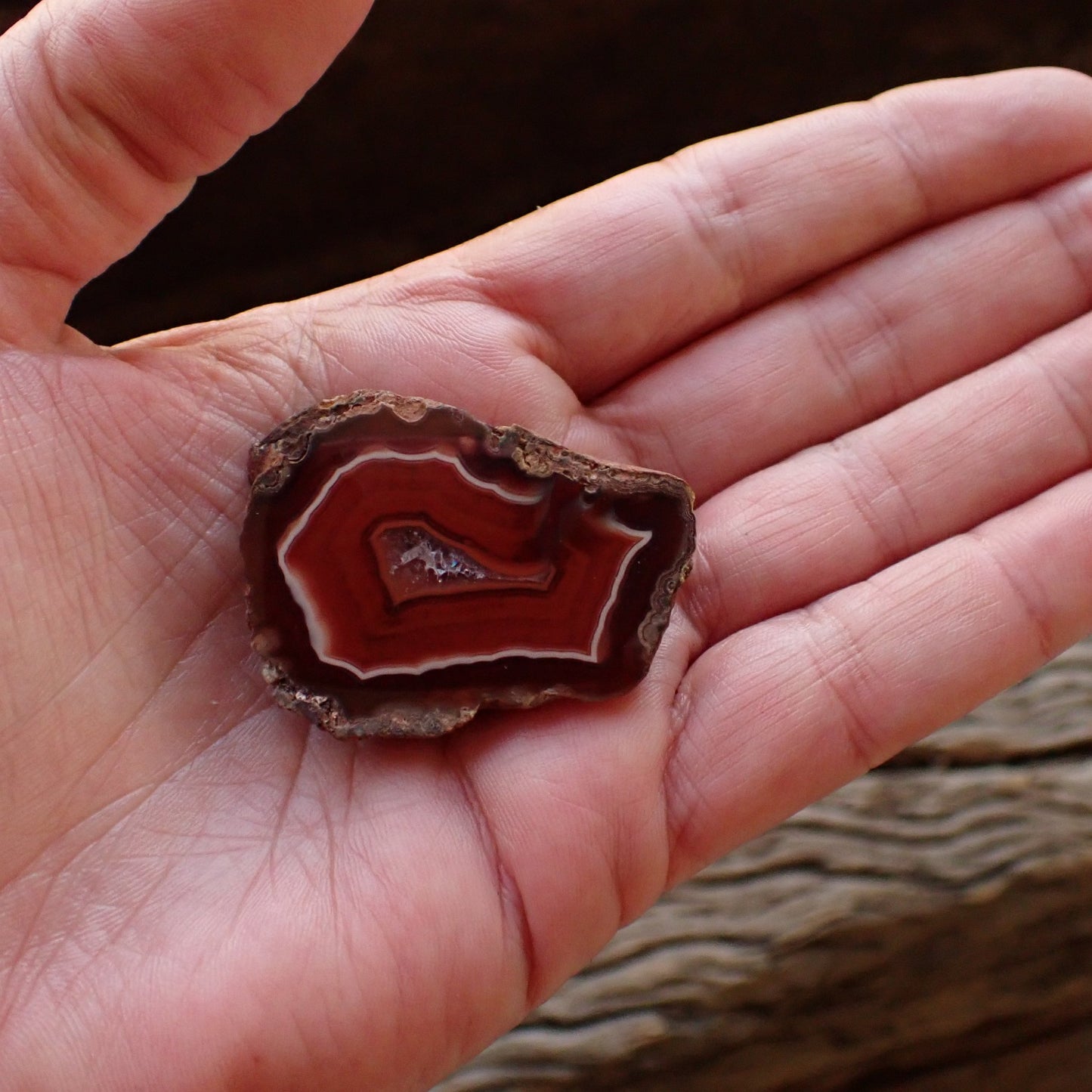Polished Malawi agate 42 mm – in-hand size reference, scalloped banding and flow channel visible | SKU 000494