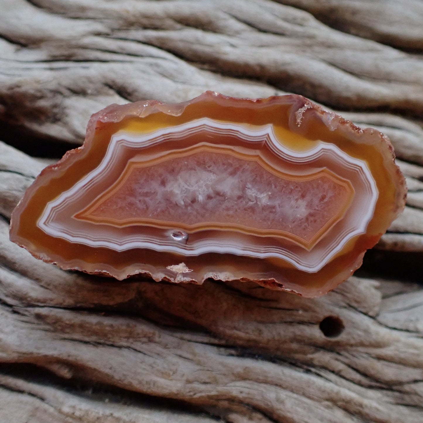 Polished Malawi agate 52 mm – front view, scalloped banding, ghost banding, amber-carnelian palette with lavender-rose centre | SKU 000495