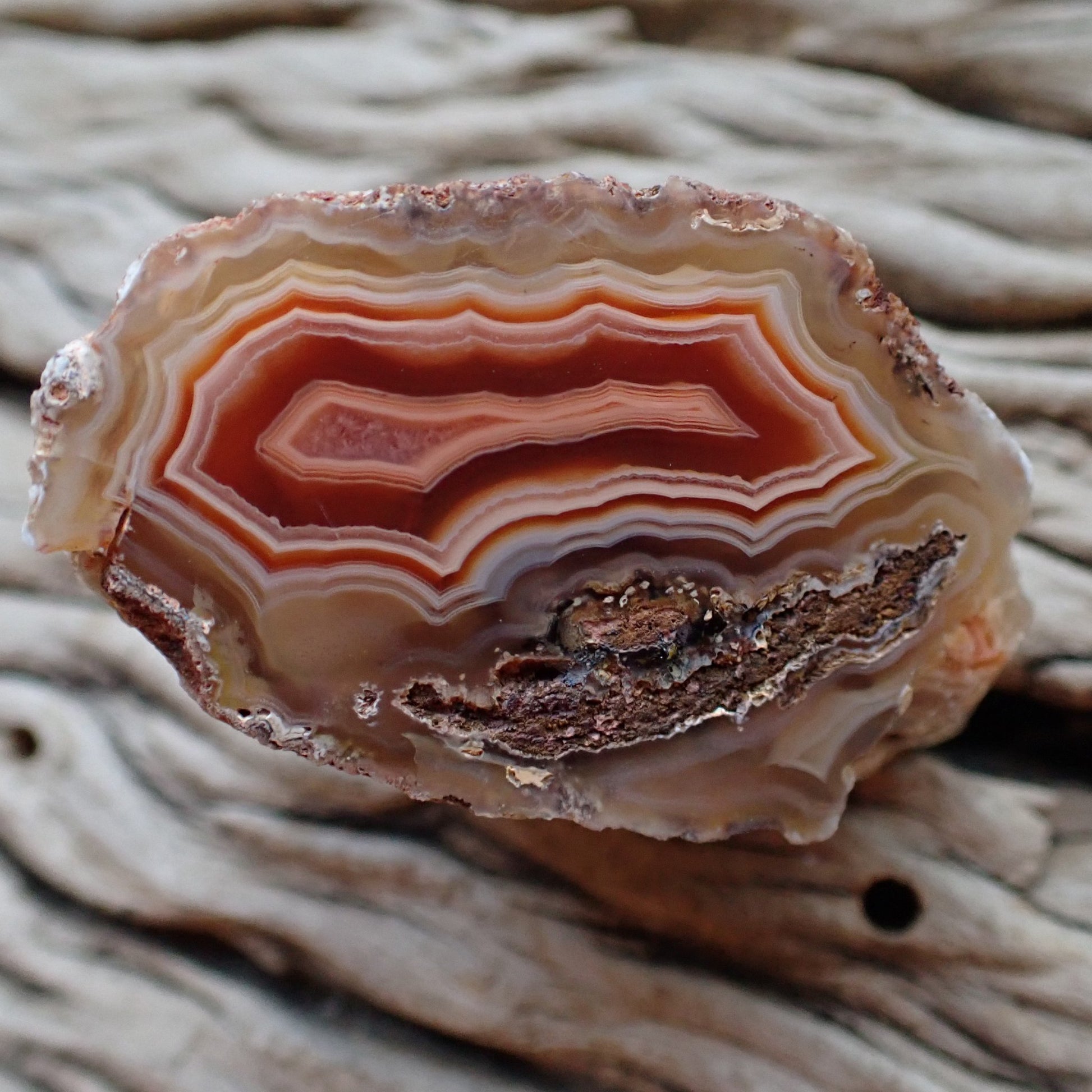 Polished Malawi agate 44 mm – front view, fortification banding, ghost banding, scalloped banding, deep carnelian-red interior | SKU 000496