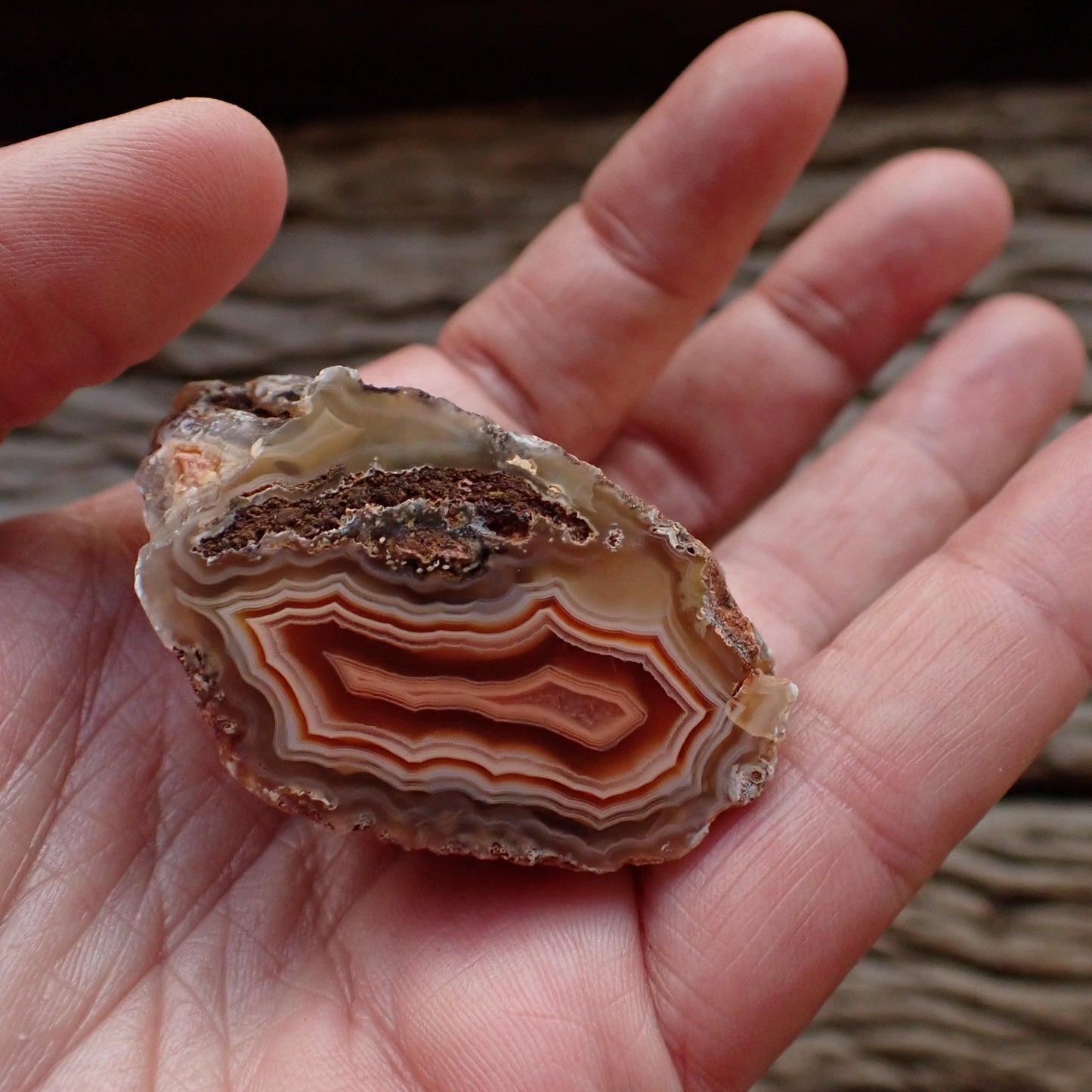 Polished Malawi agate 44 mm – in-hand size reference, fortification banding, ghost banding, Ngabu origin, hand-polished in South Africa | SKU 000496