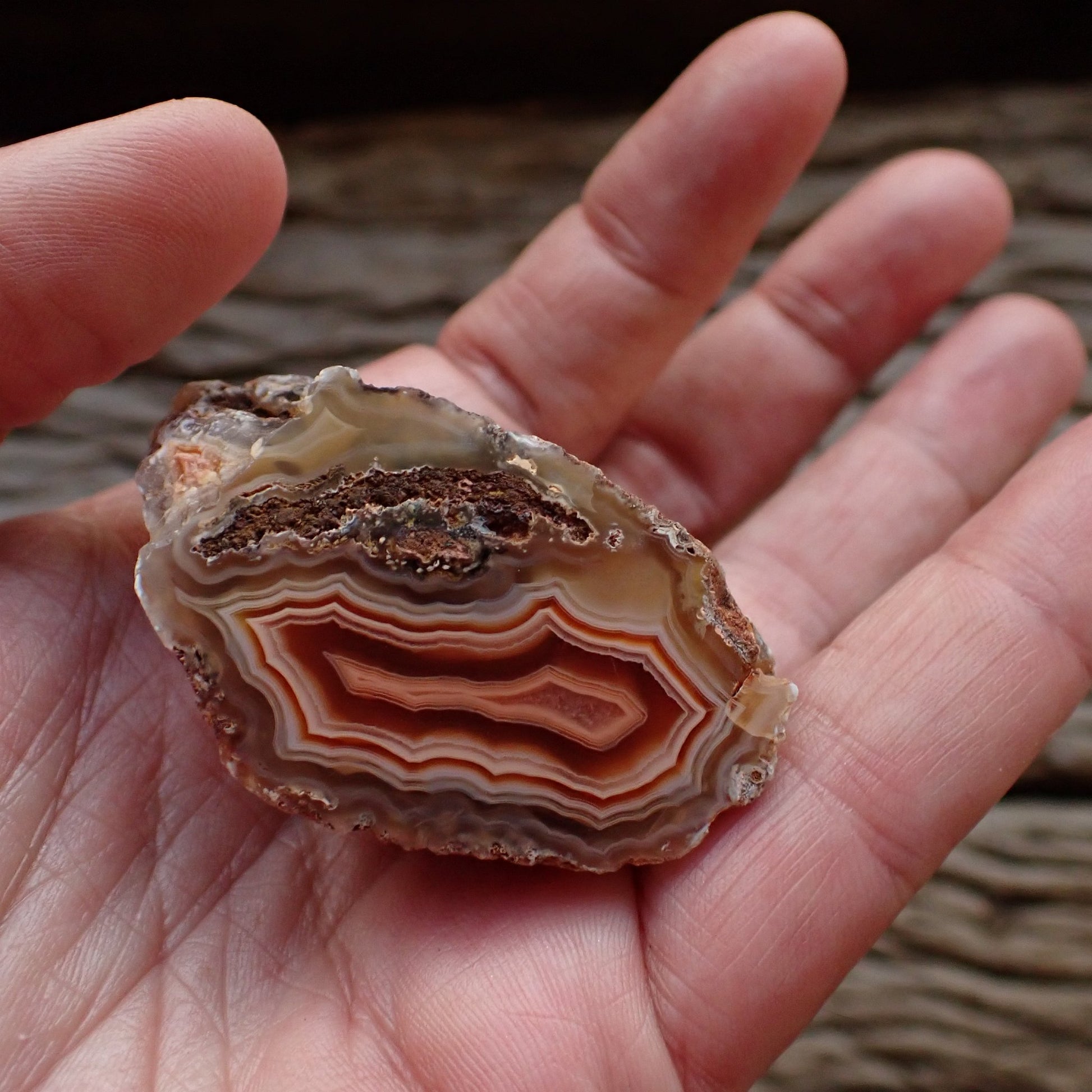Polished Malawi agate 44 mm – in-hand size reference, fortification banding, ghost banding, Ngabu origin, hand-polished in South Africa | SKU 000496