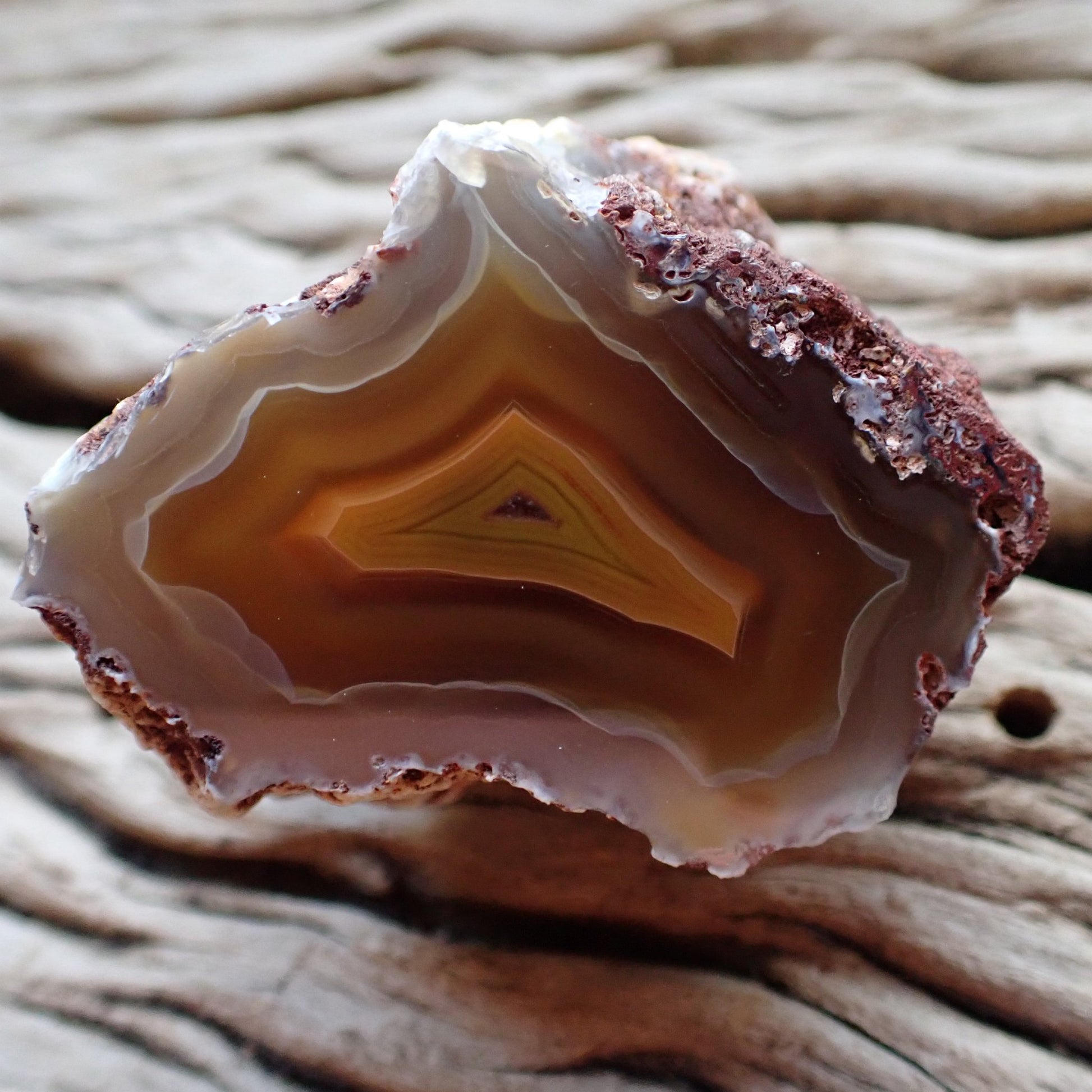 Natural hand-polished Malawi agate 48 mm – full face, scalloped banding, ghost banding, warm amber-carnelian centre | SKU 000497