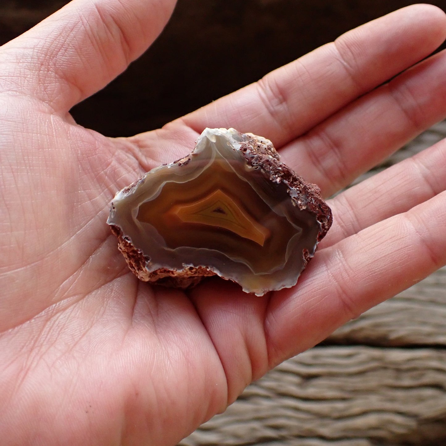 Natural hand-polished Malawi agate 48 mm – in-hand size reference, scalloped banding, ghost banding | SKU 000497